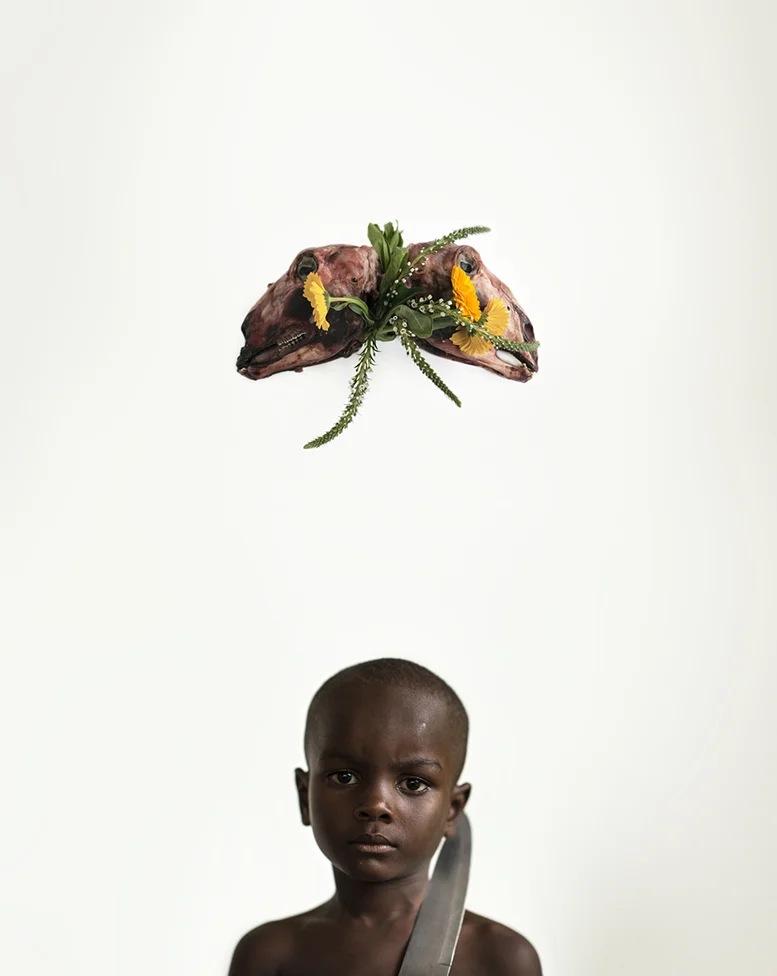 stephonsenegal
