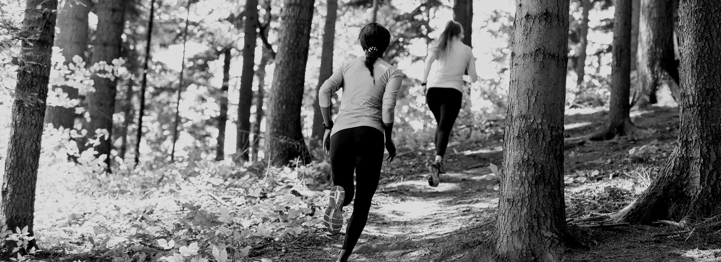 trail_banner-01.jpg
