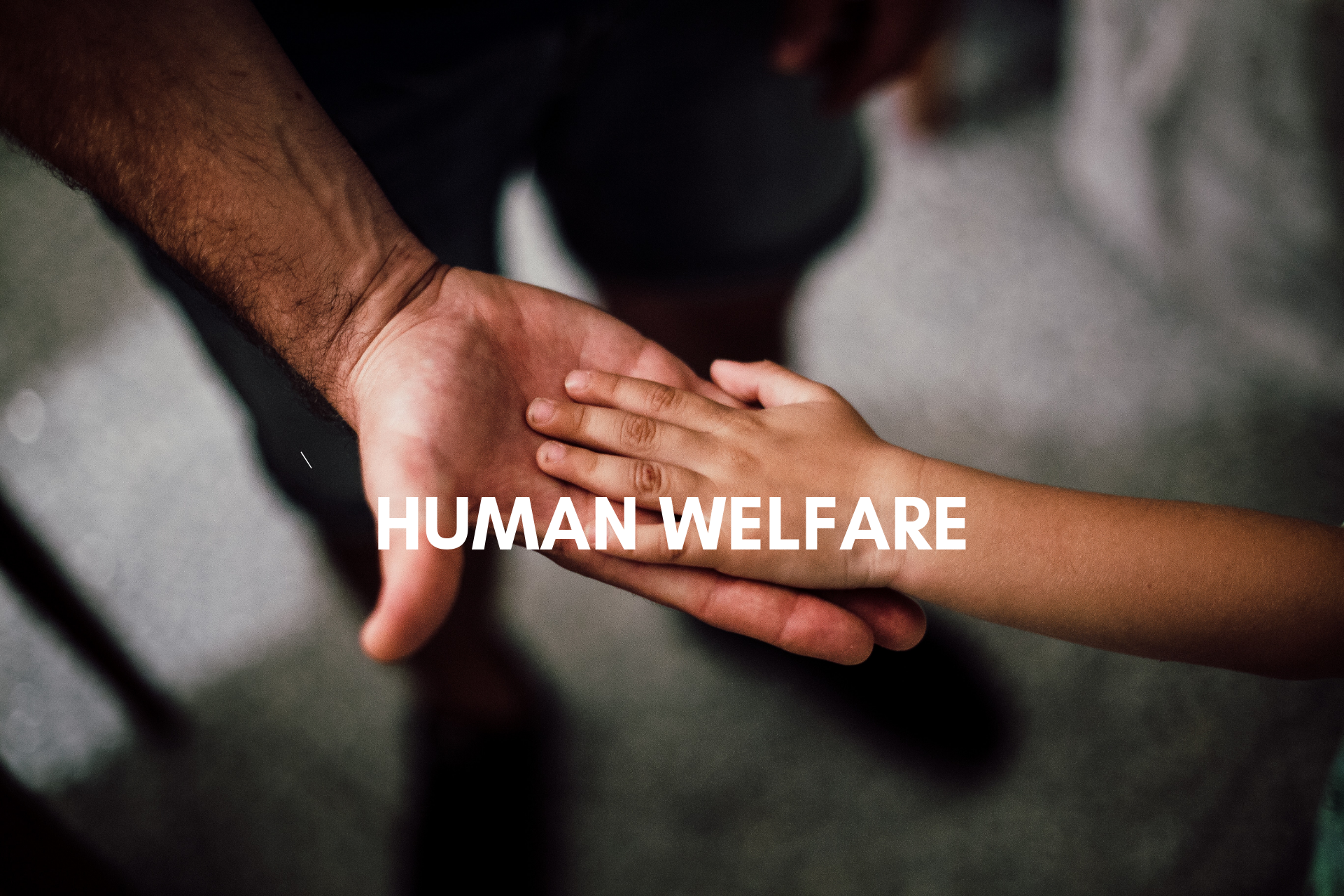 Human Welfare 