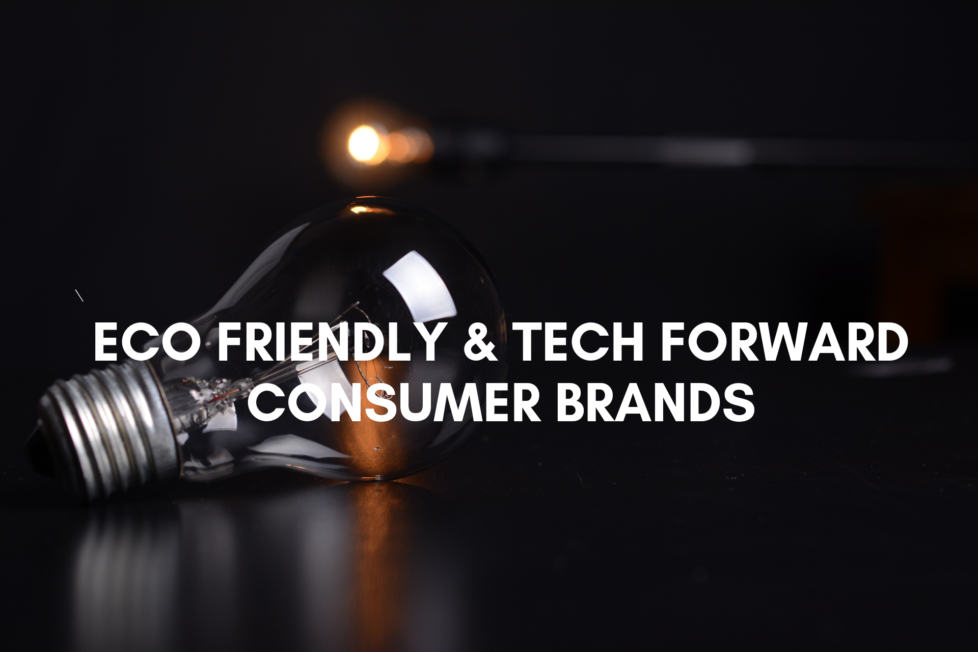 Eco-Friendly / Tech Forward Brands