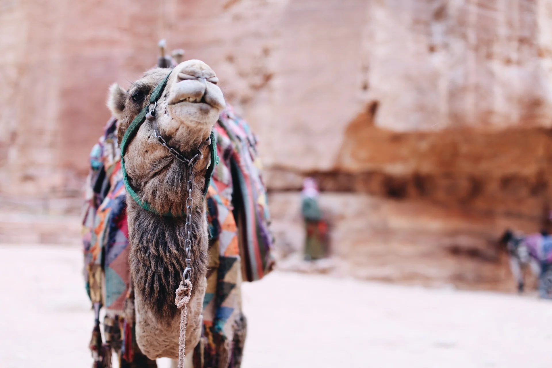 8E7A35DC-849F-4DD6-B66F-0EB285FFA5E5 (1).JPG