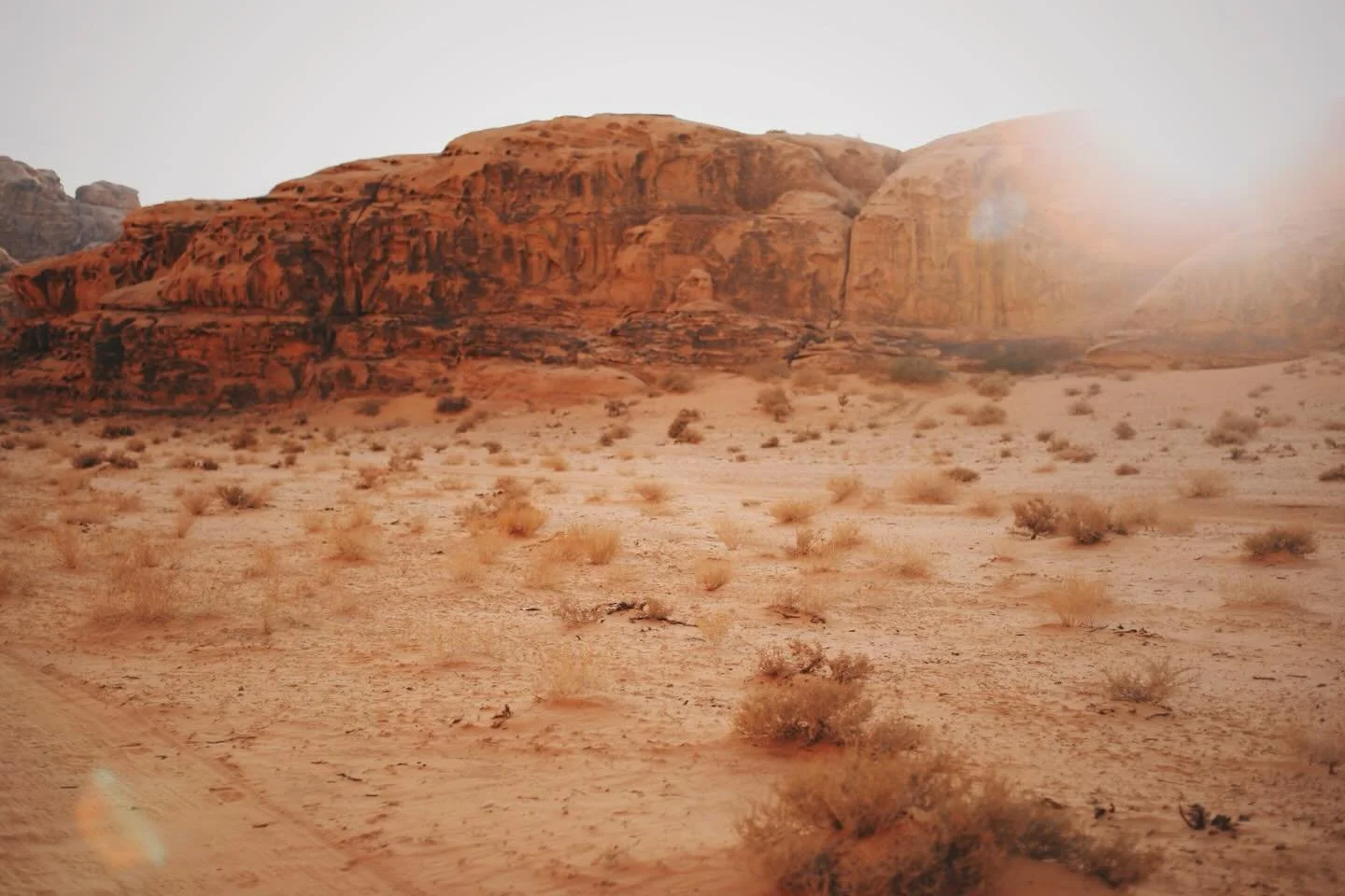 Images of the desert: story of the wilderness 

(Speaking of the wilderness)
&ldquo;Because the place is demanding, it builds character. Because it is destructive it builds interdependence. Because it is isolating it builds community.&rdquo; Bruce Fe