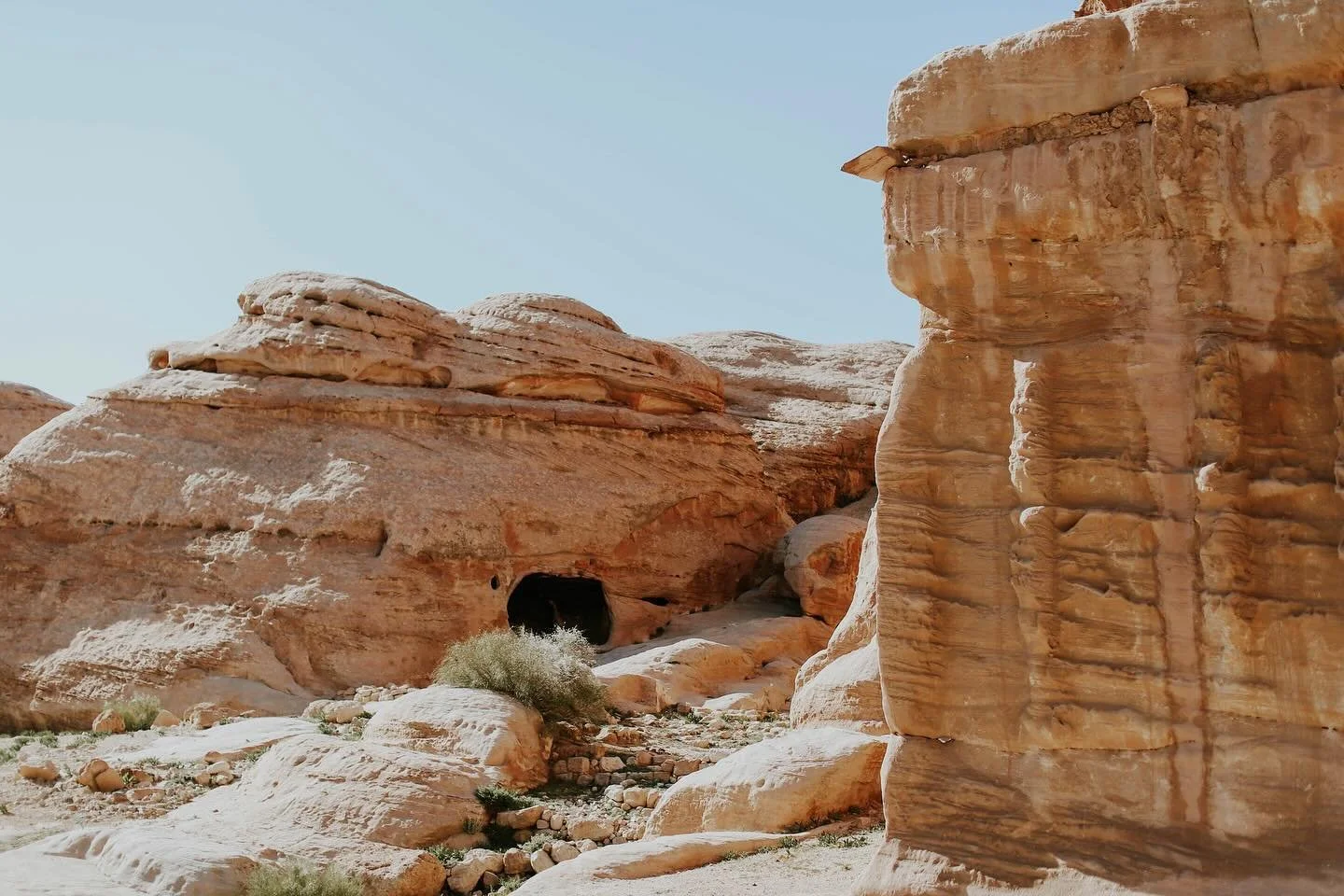 Images in the desert: story of the rotem bush

The rotem bush, also known as the broom tree 🧹🌳, is a desert plant that offers shade, though limited compared to the acacia tree (see my previous post). Despite its modest size, stumbling upon one in t