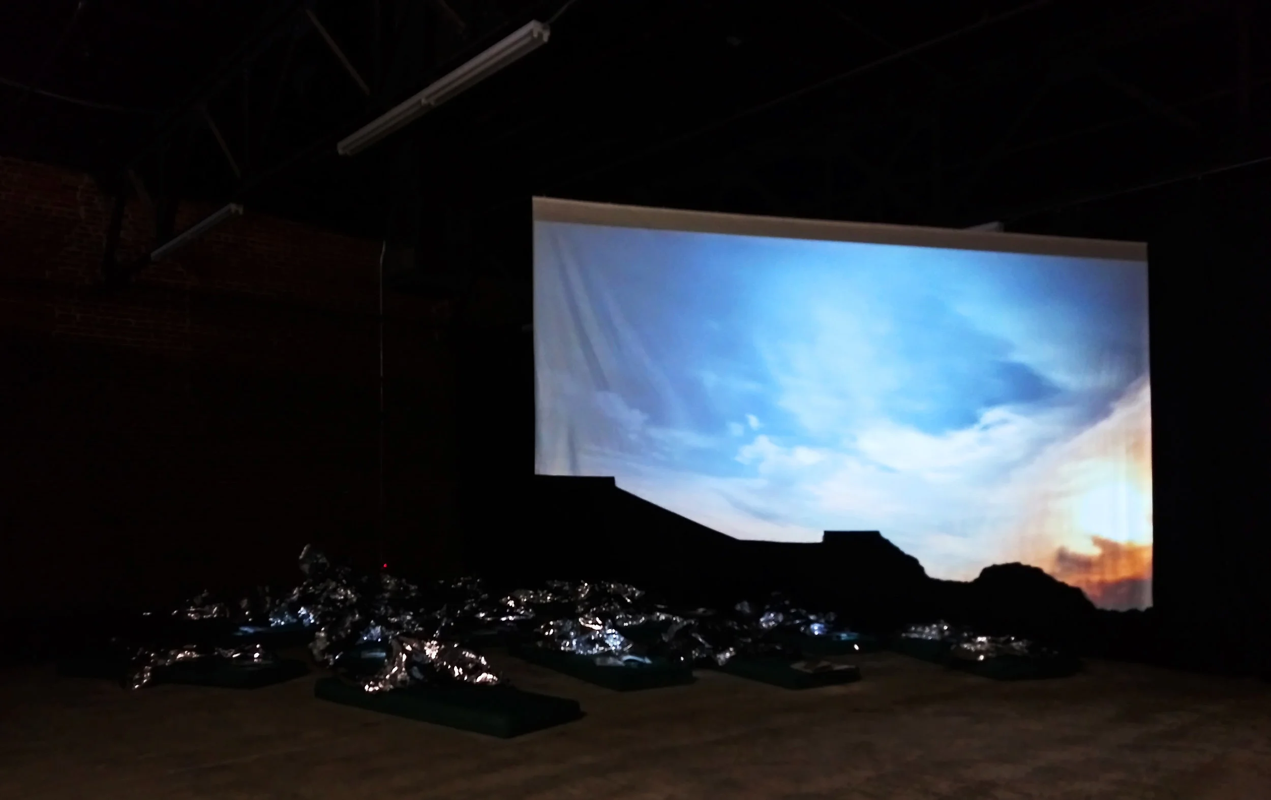 Under the Same Sky… We Dream (2017) by Erika Harrsch