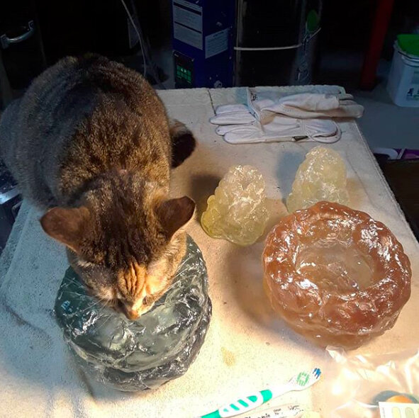  Current work station status. Making cat water dishes and candle stick holders. I'm very lucky to be able to melt glass right now. Melting one for all the&nbsp; #glassies &nbsp;shut out of the studio for now. ✌☝️💖 Shown is Aurora the kitty, two cast
