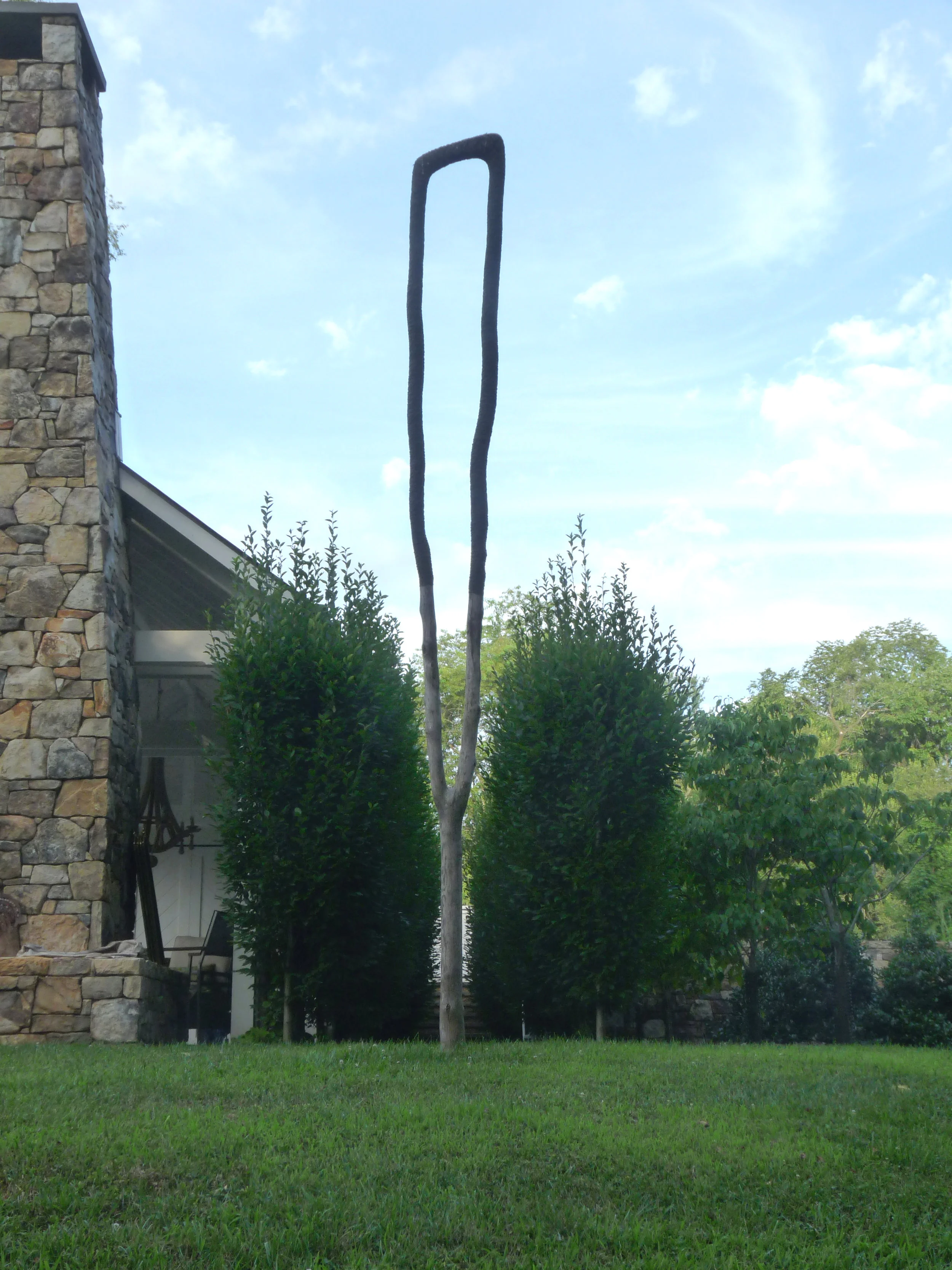 Continuum 16-b.jpg