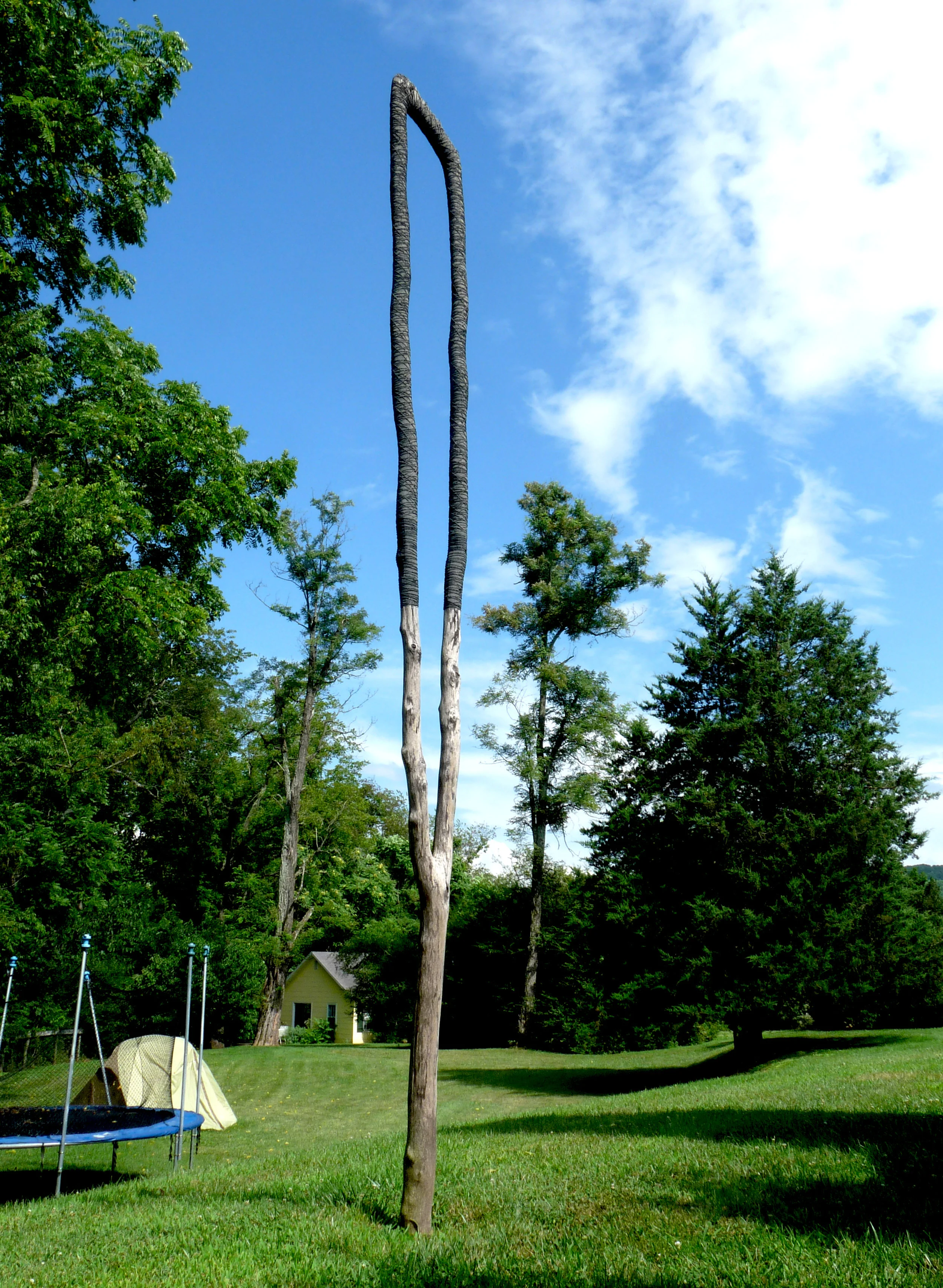 Continuum 16-c.jpg