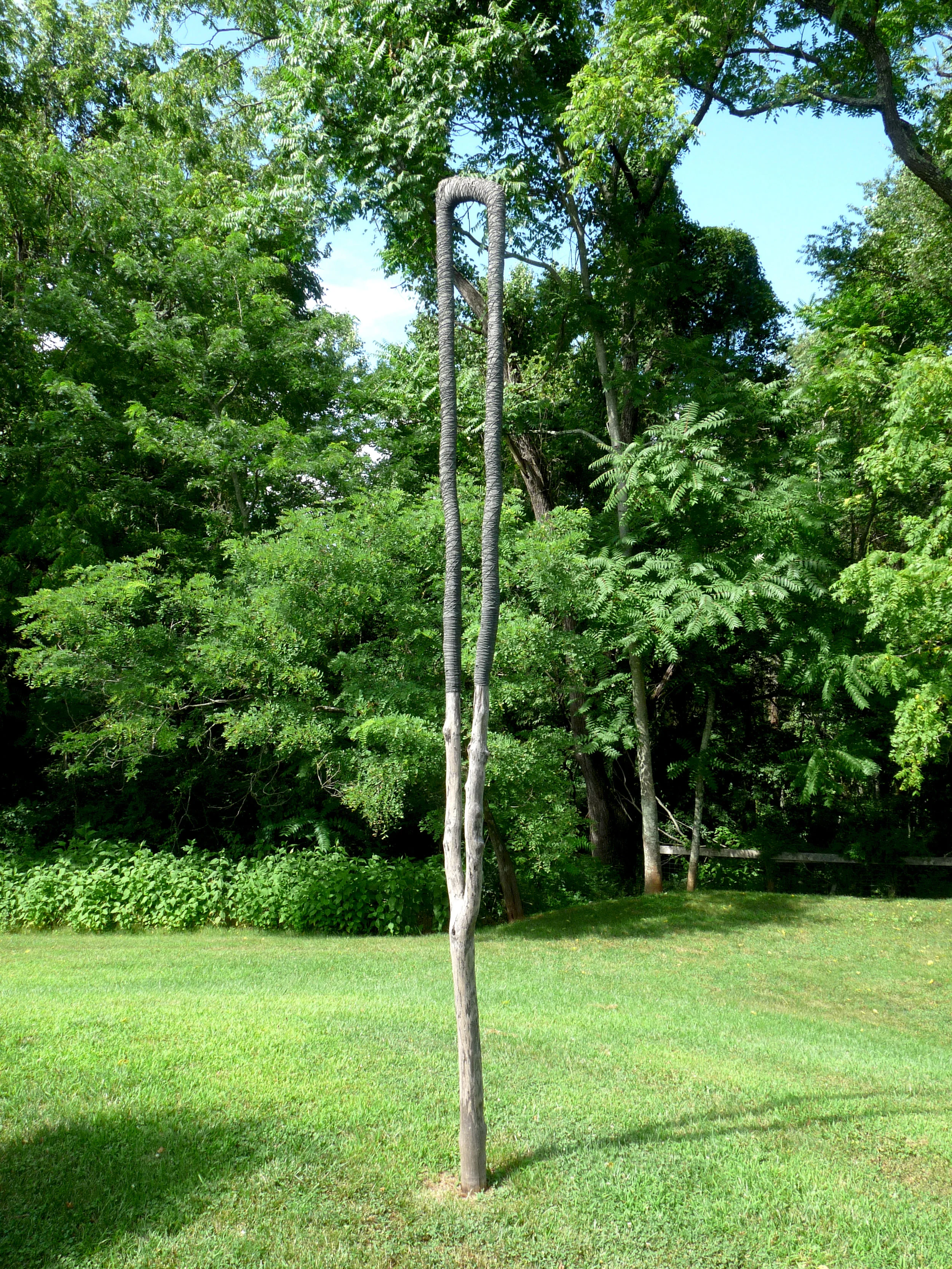 Continuum 16-d.jpg
