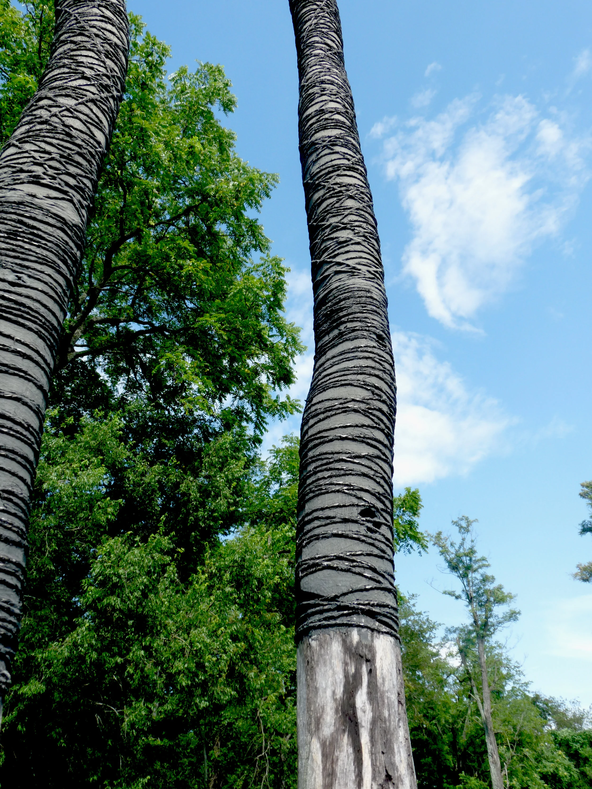 Continuum 16-f.jpg