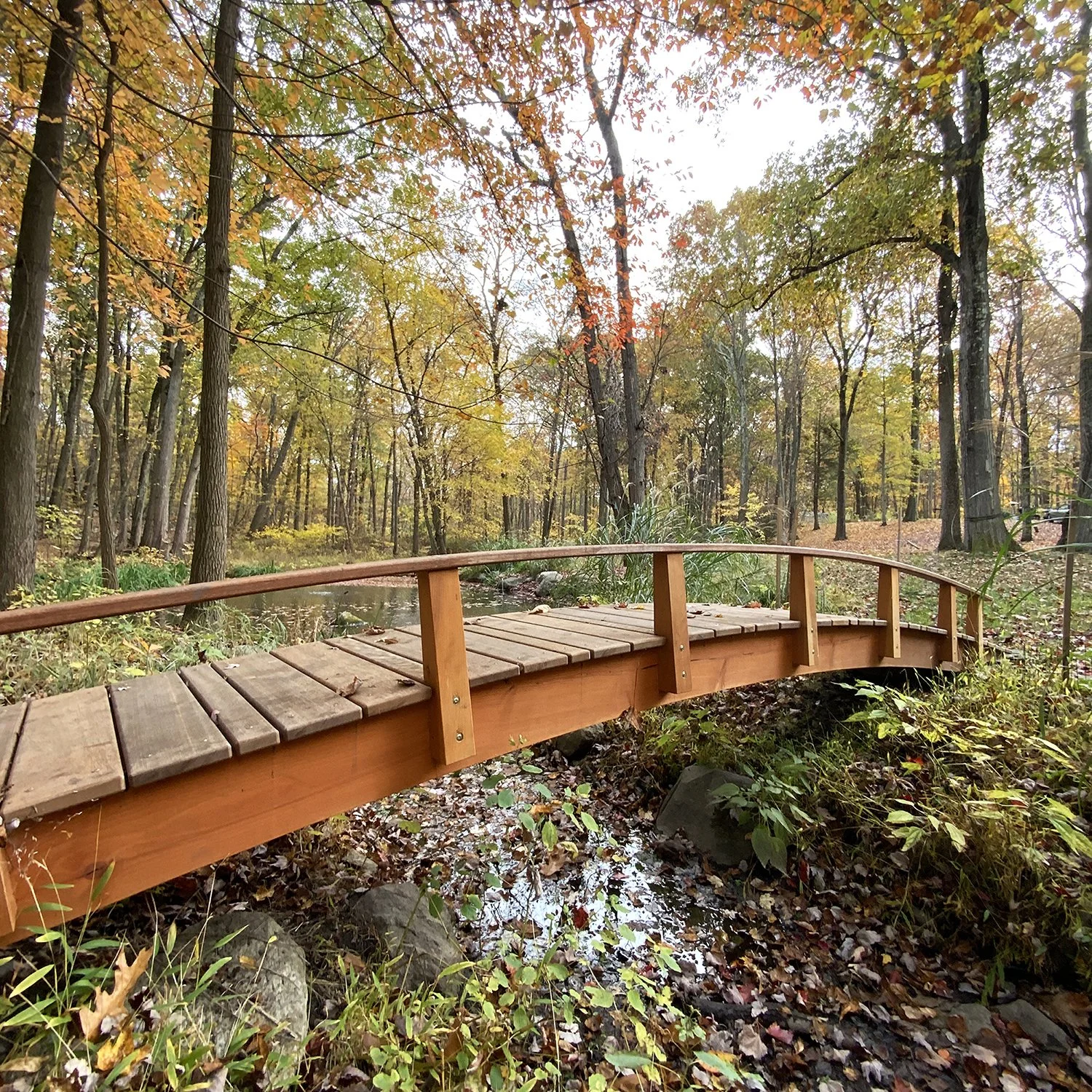 Bridge_Fall_1a.jpg