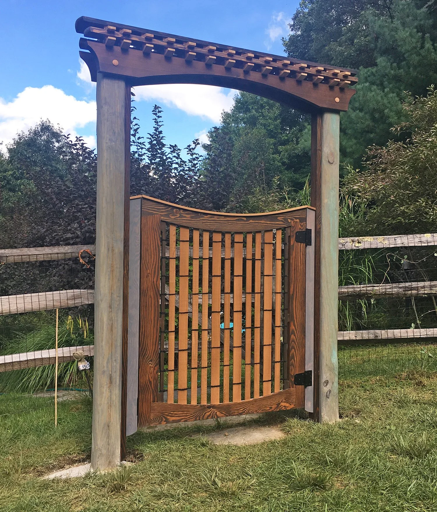 Gate_Ted_1a copy.jpg