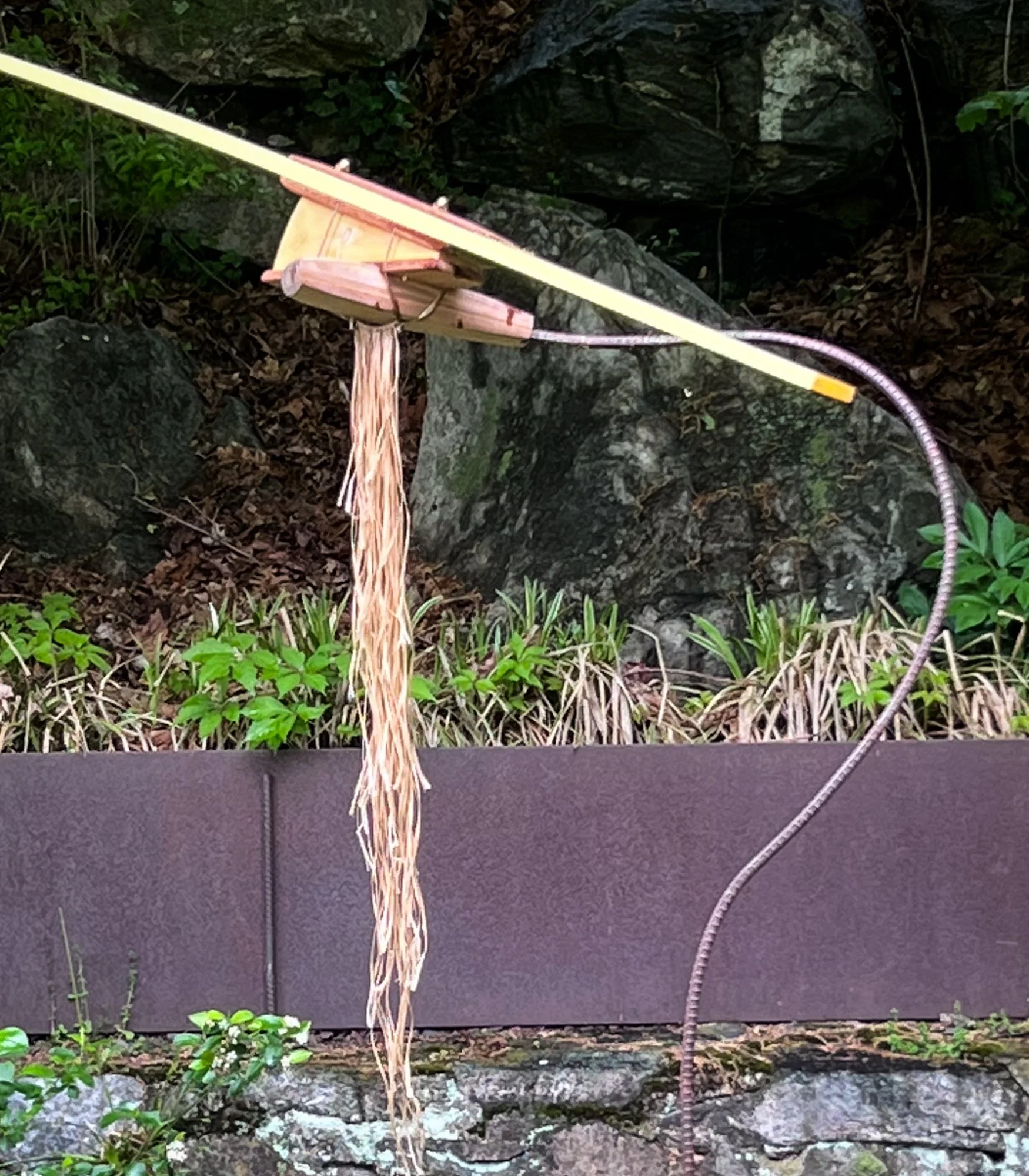 Palomino_detail 1a.jpg