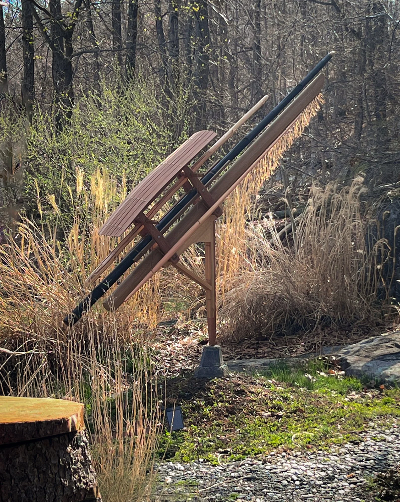 Bronco_6a.jpg