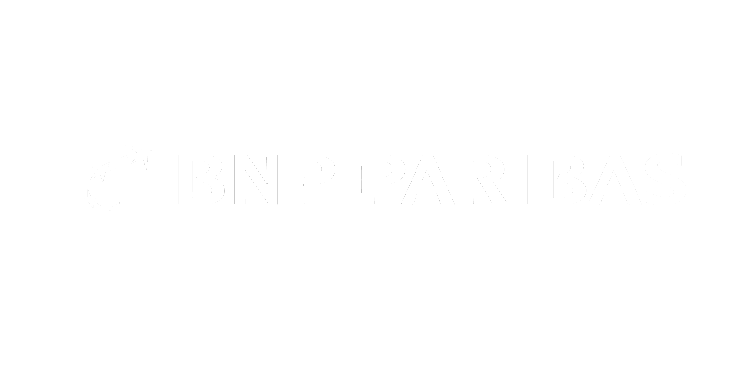 05 BNP.png