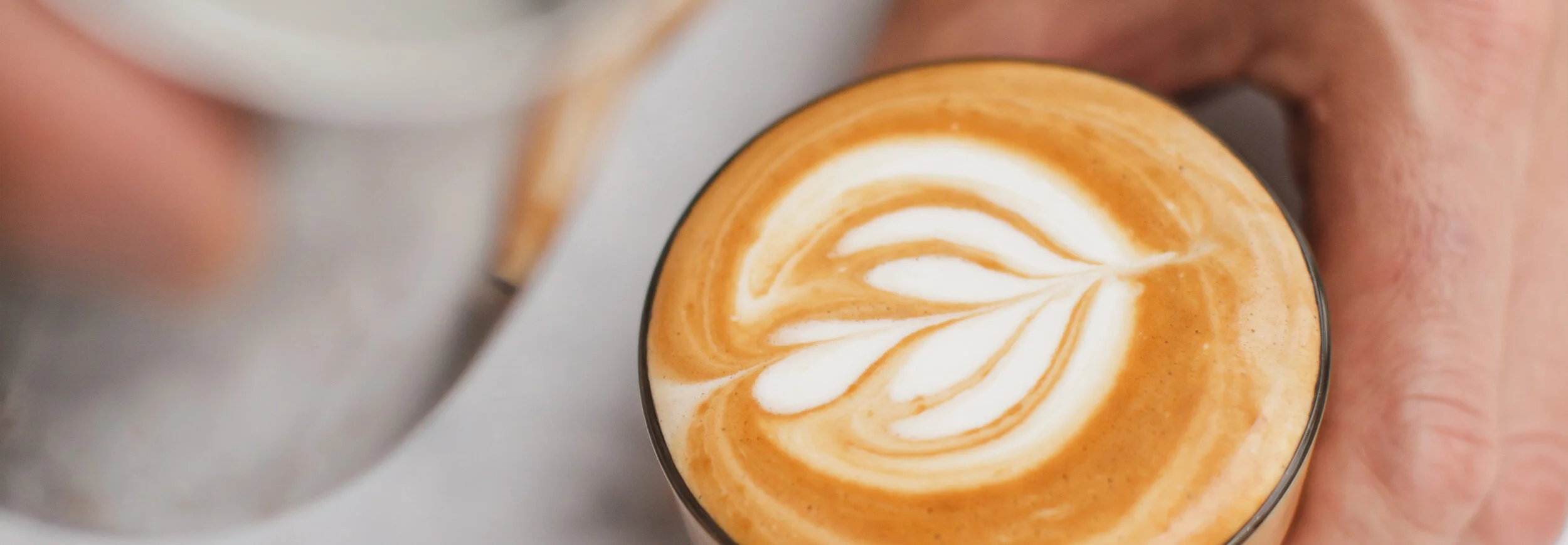 CoffeeTrainingCo.-HR-124-Cropped.jpg