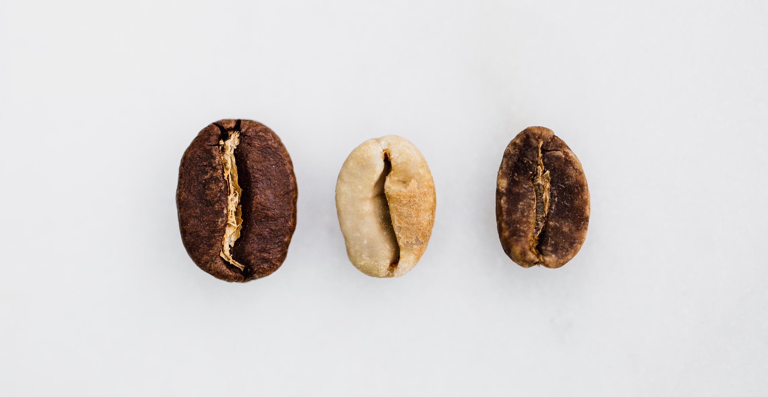 CoffeeTrainingCo.-HR-1.png