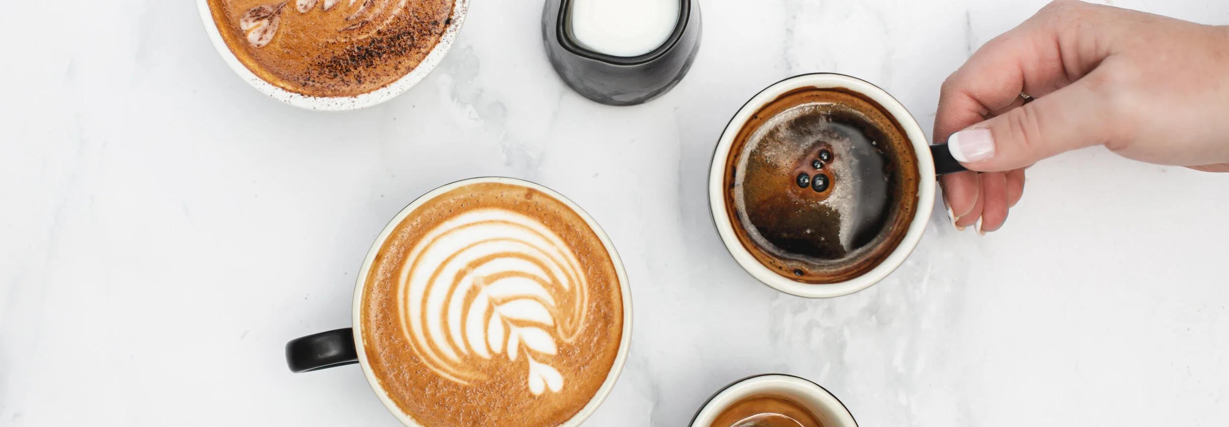 CoffeeTrainingCo.-HR-29-cropped.jpg
