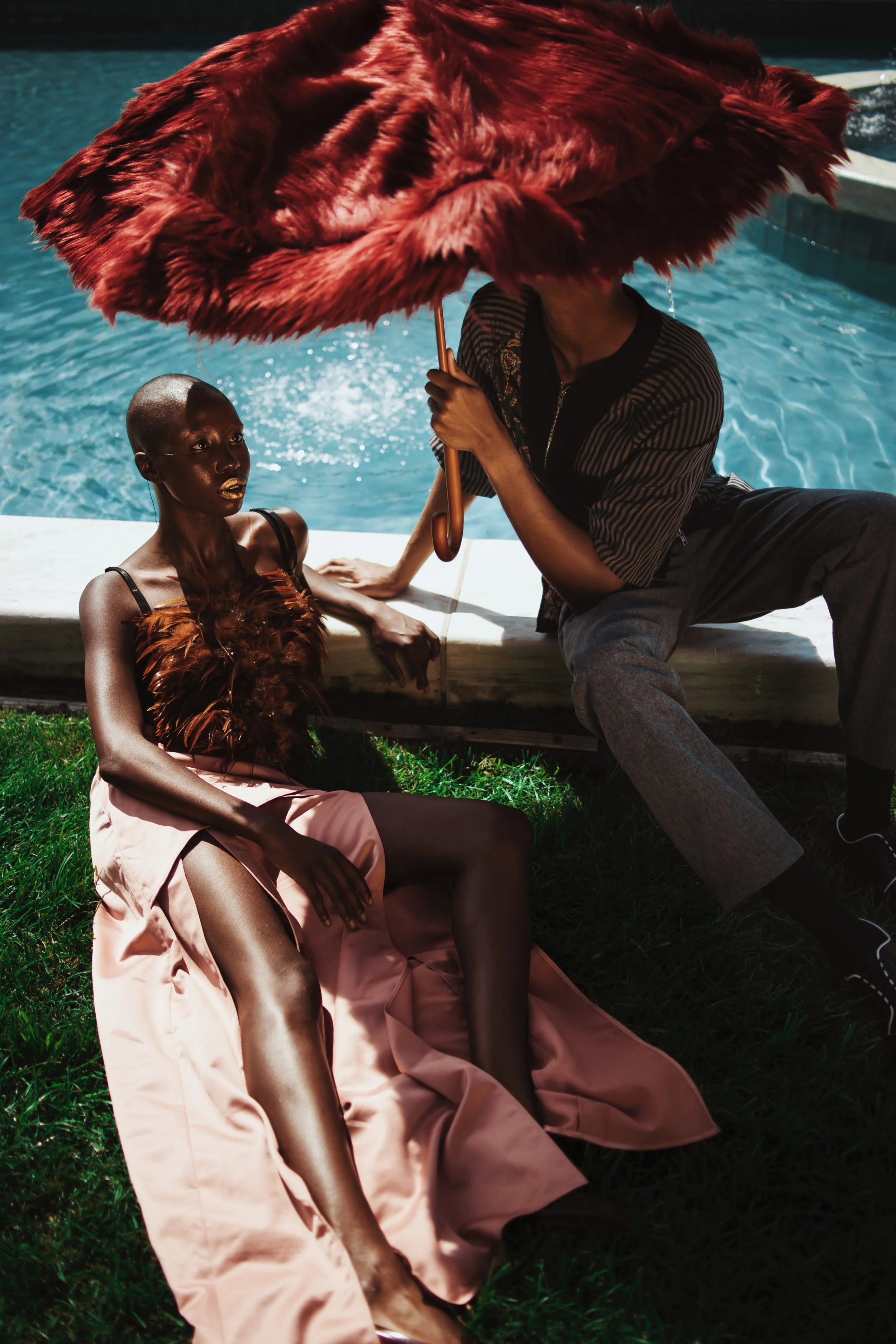 Queen Alexandria's Birdwing