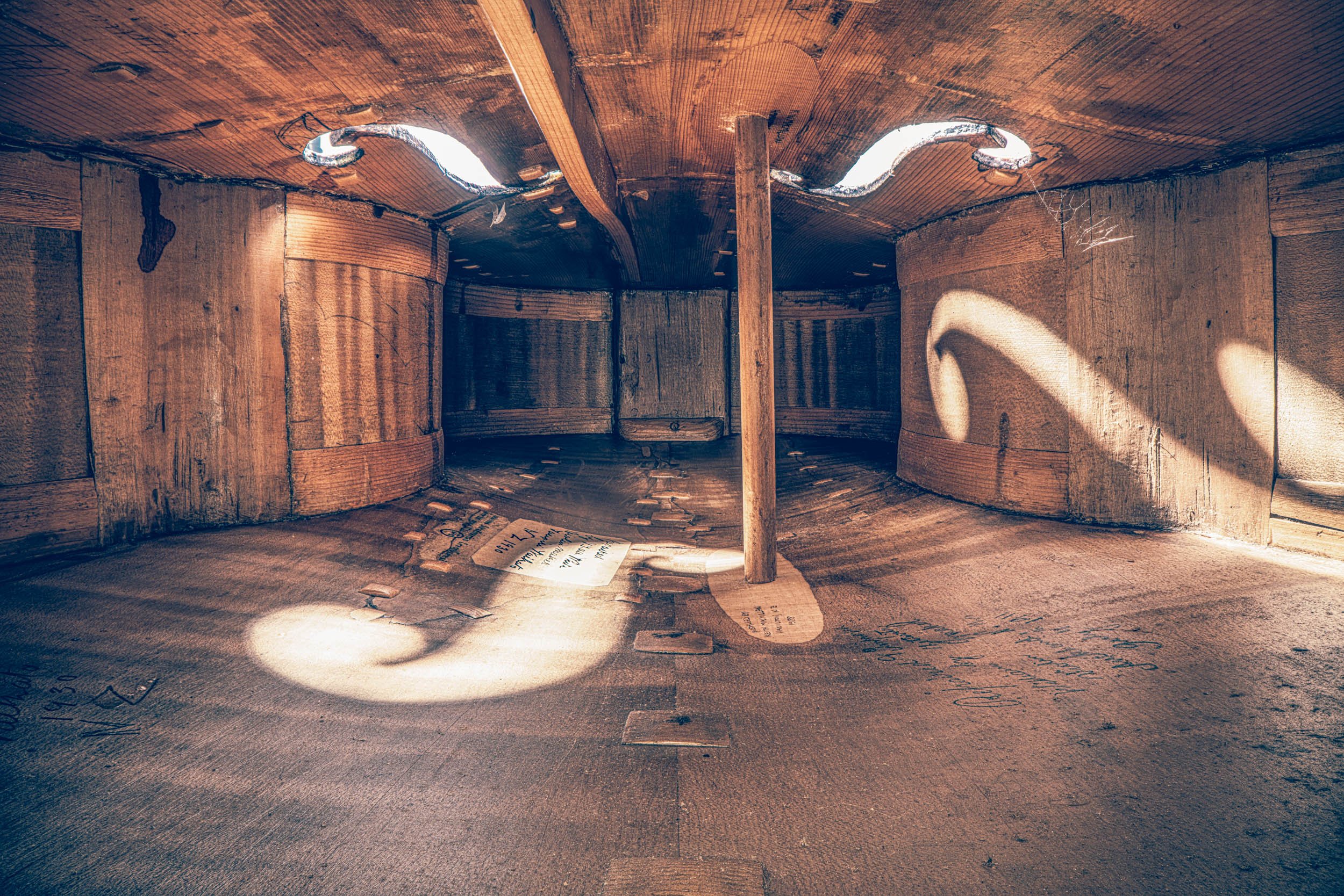 The Cello Once Hit By a Train.jpg