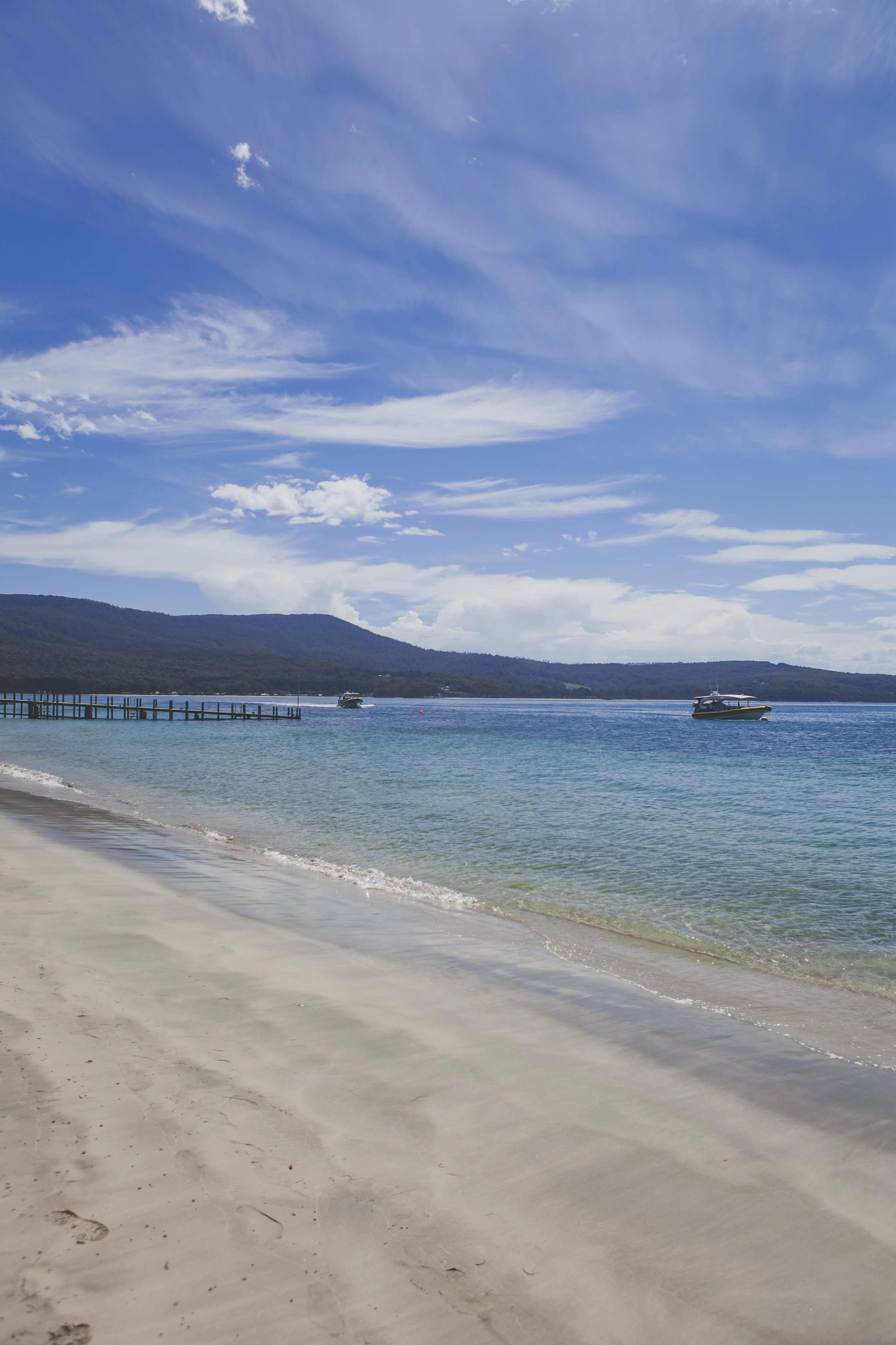 Bruny Lightroomed Pics (396 of 402).jpg