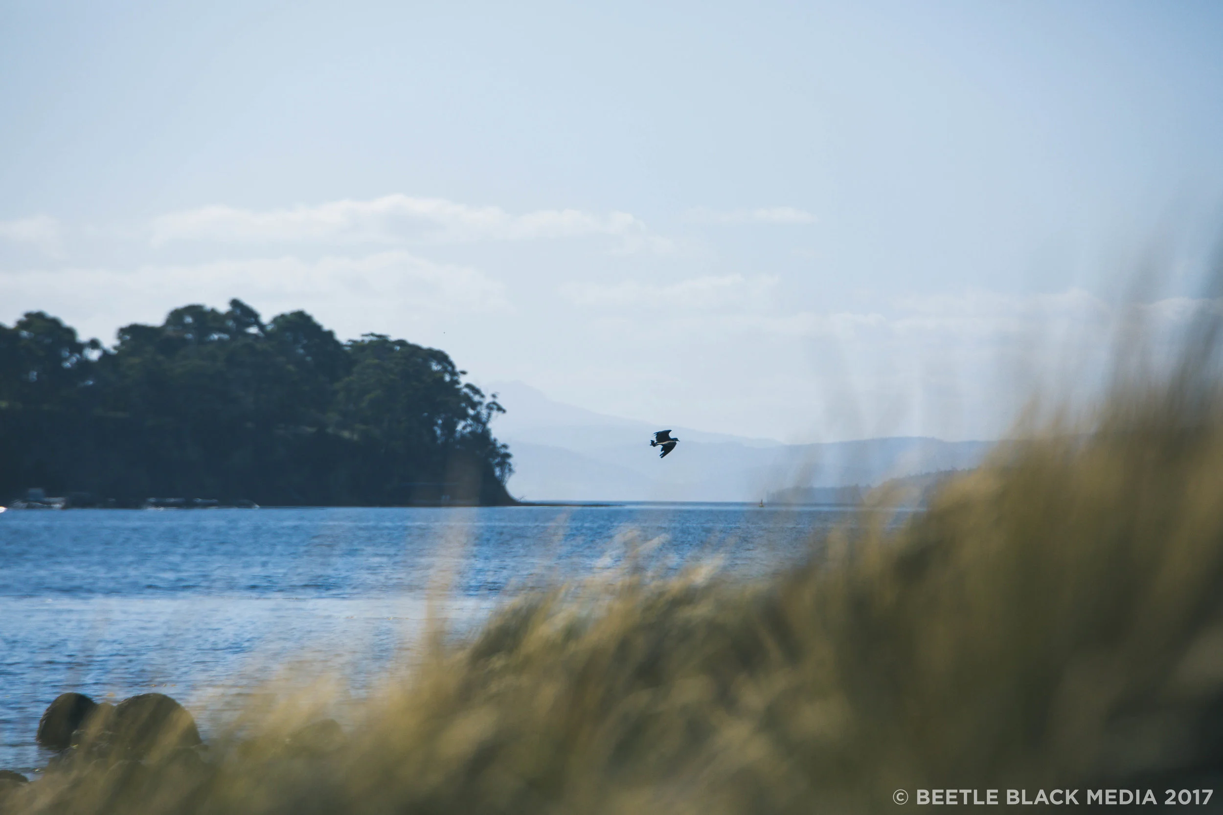 Bruny Photos #2 (153 of 356).jpg