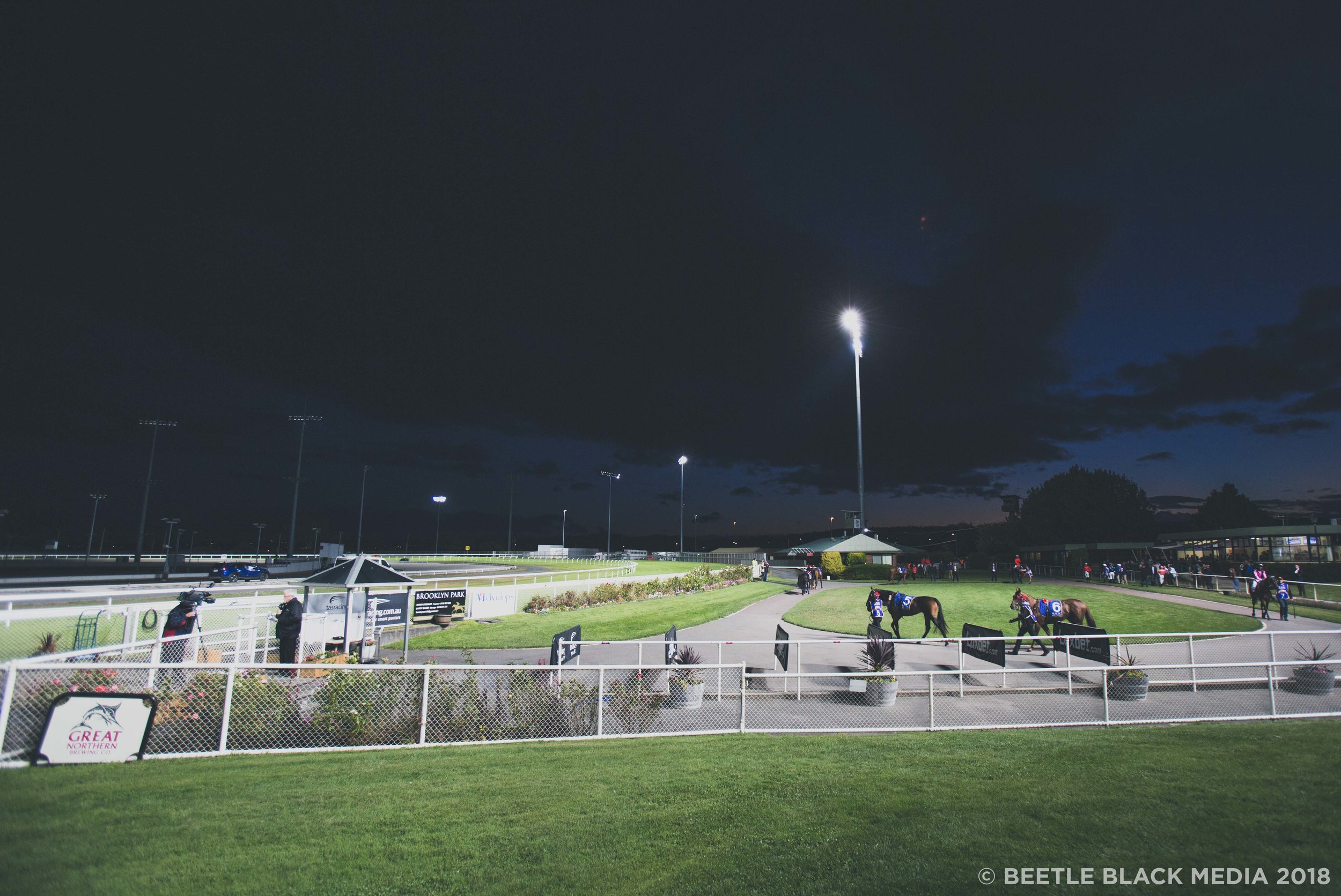 Magic Millions Compressed (11 of 14).jpg