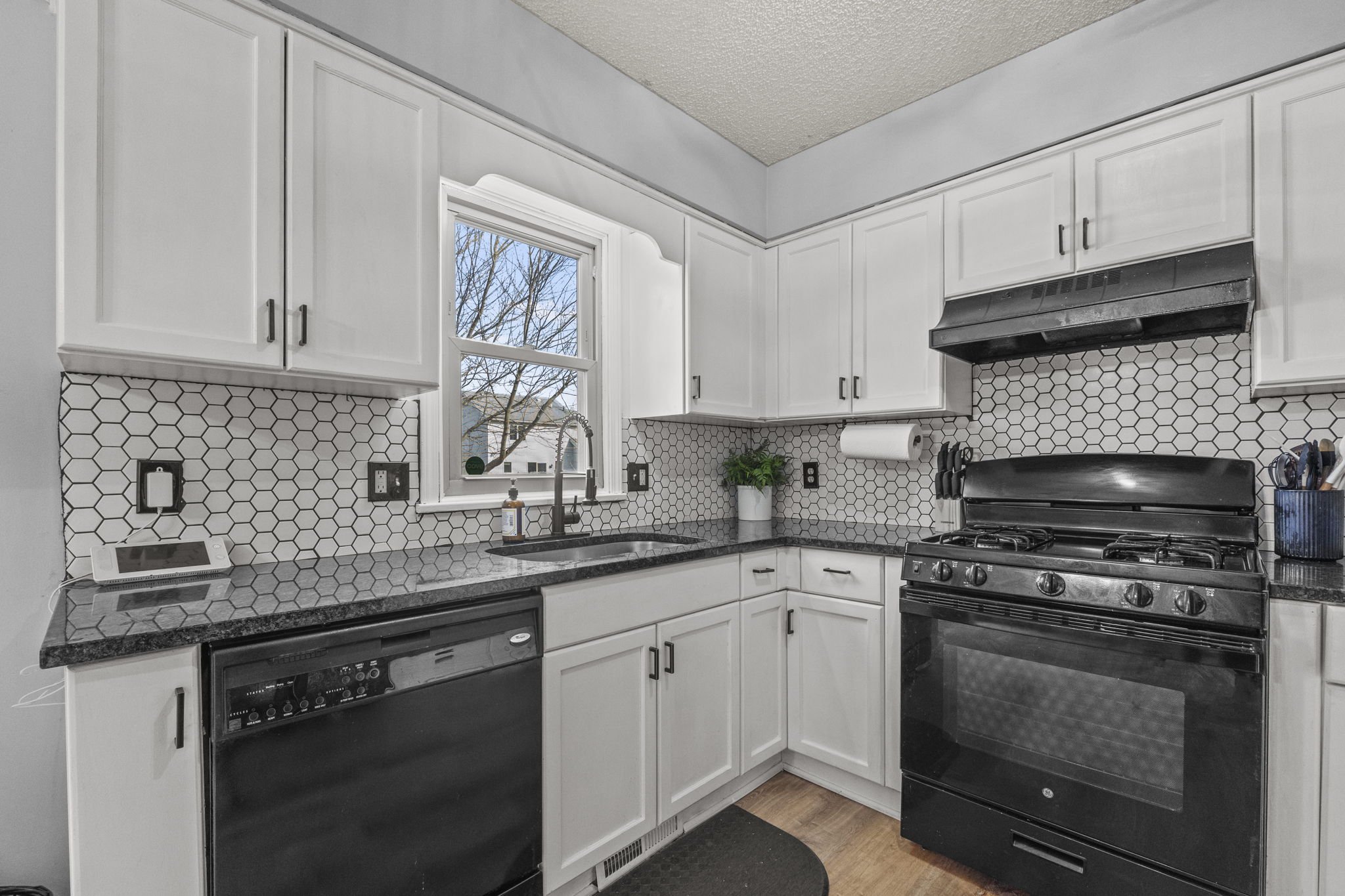 15-web-or-mls-DSC09628.jpg
