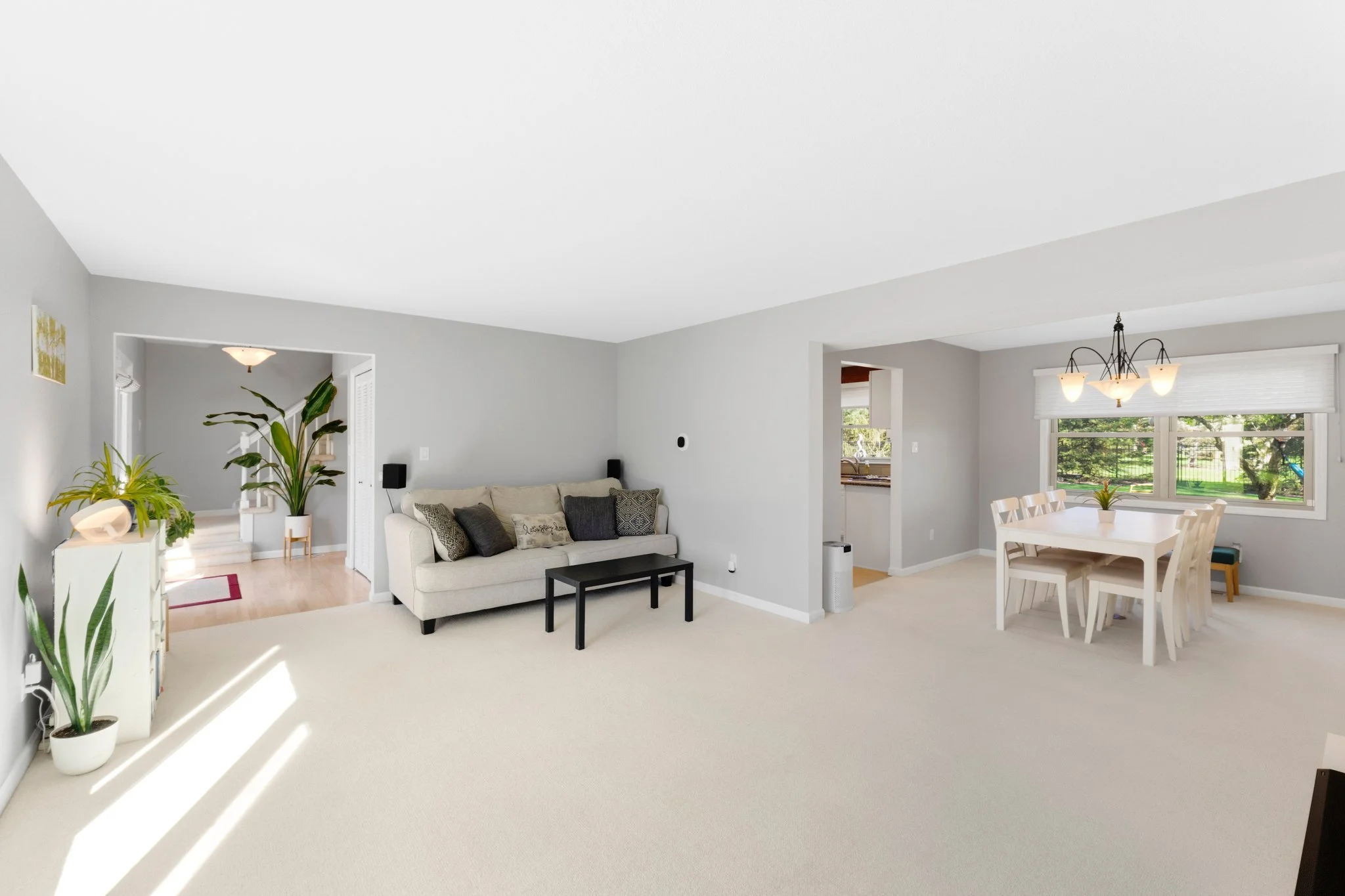 27-web-or-mls-DSC03406.jpg