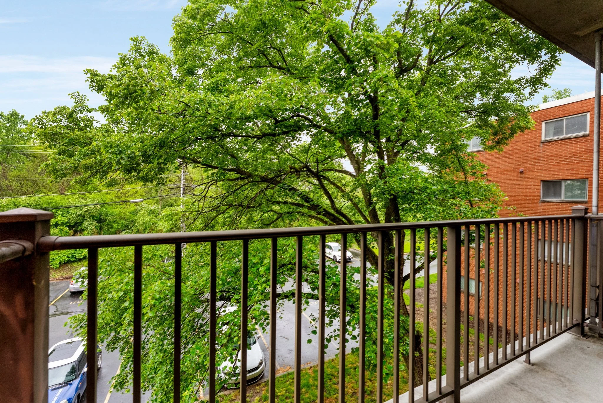 22-web-or-mls-DSC08047.jpg