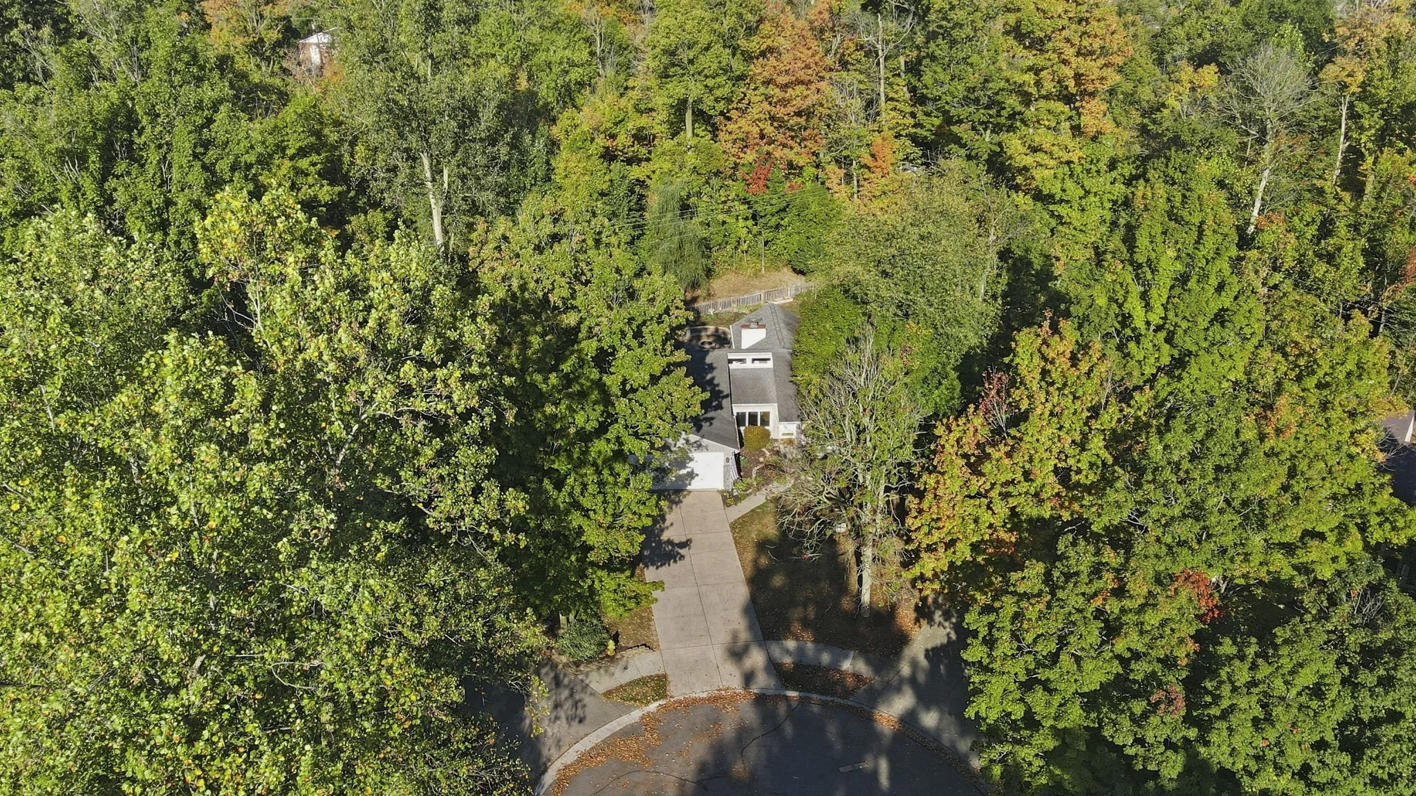 6-web-or-mls-004_DJI_0548.jpg