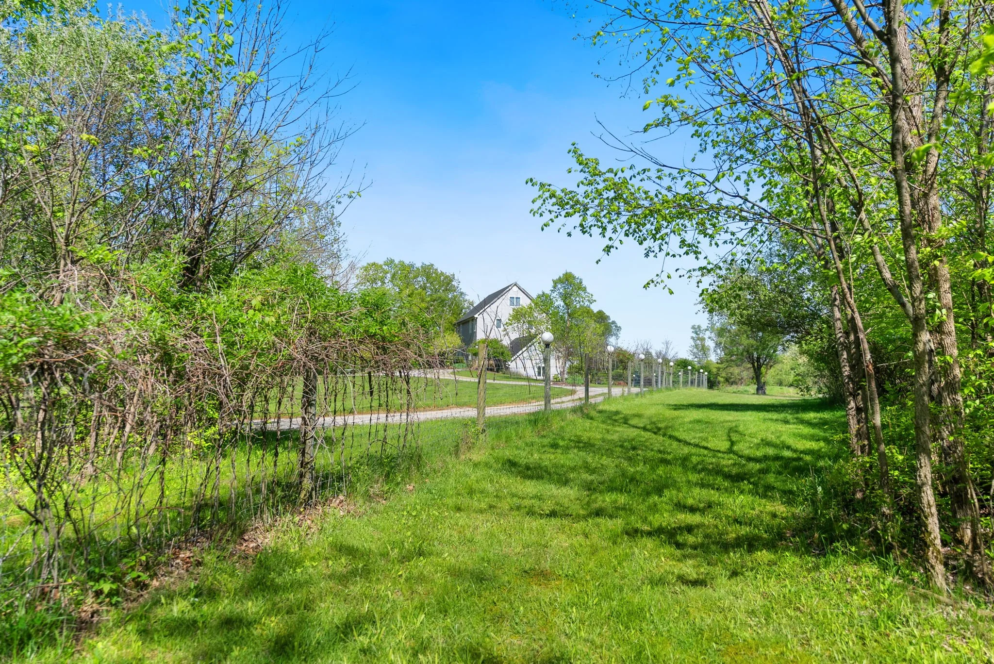 33-web-or-mls-33.jpg