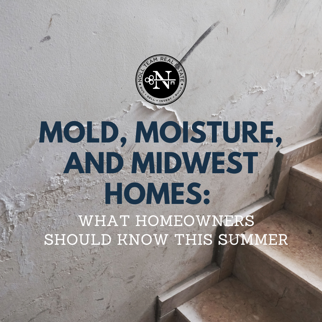 Mold, Moisture, and Midwest Homes: What Homeowners Should Know This Summer