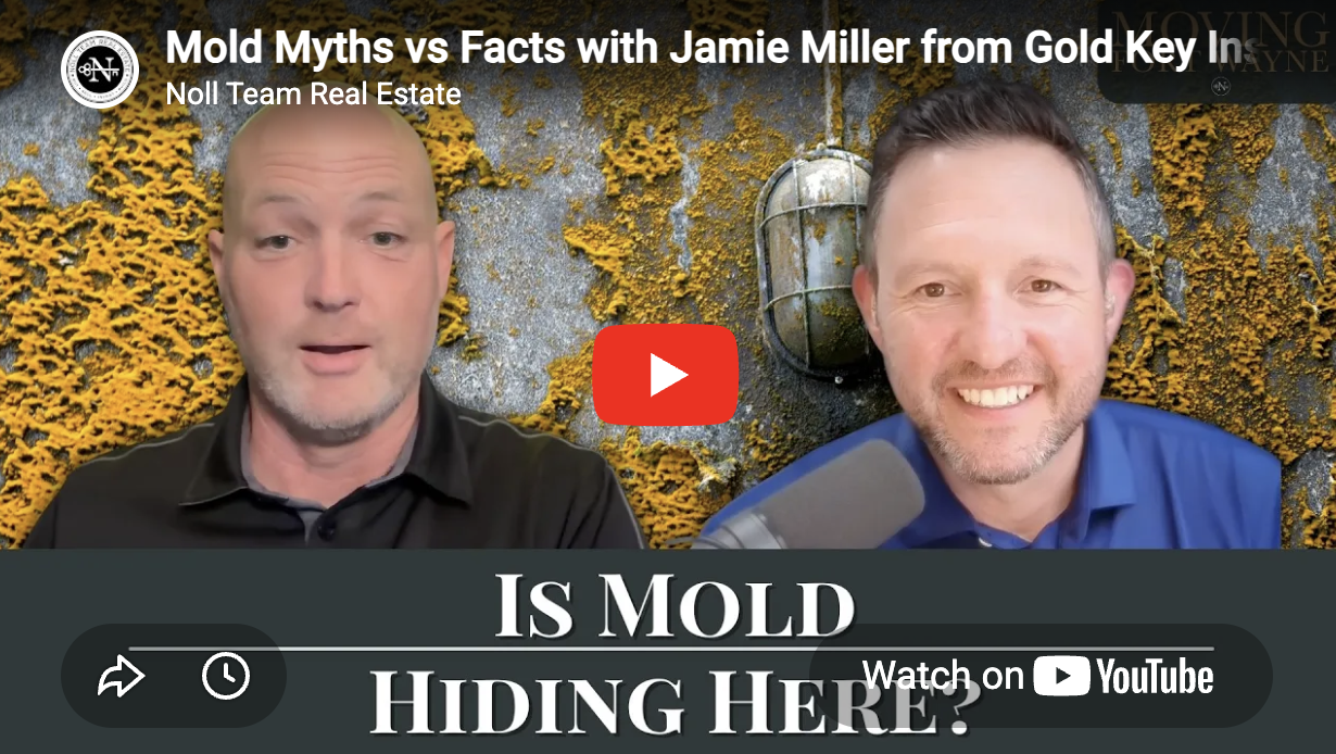 Mold Myths vs Facts with Jamie Miller from Gold Key Inspections