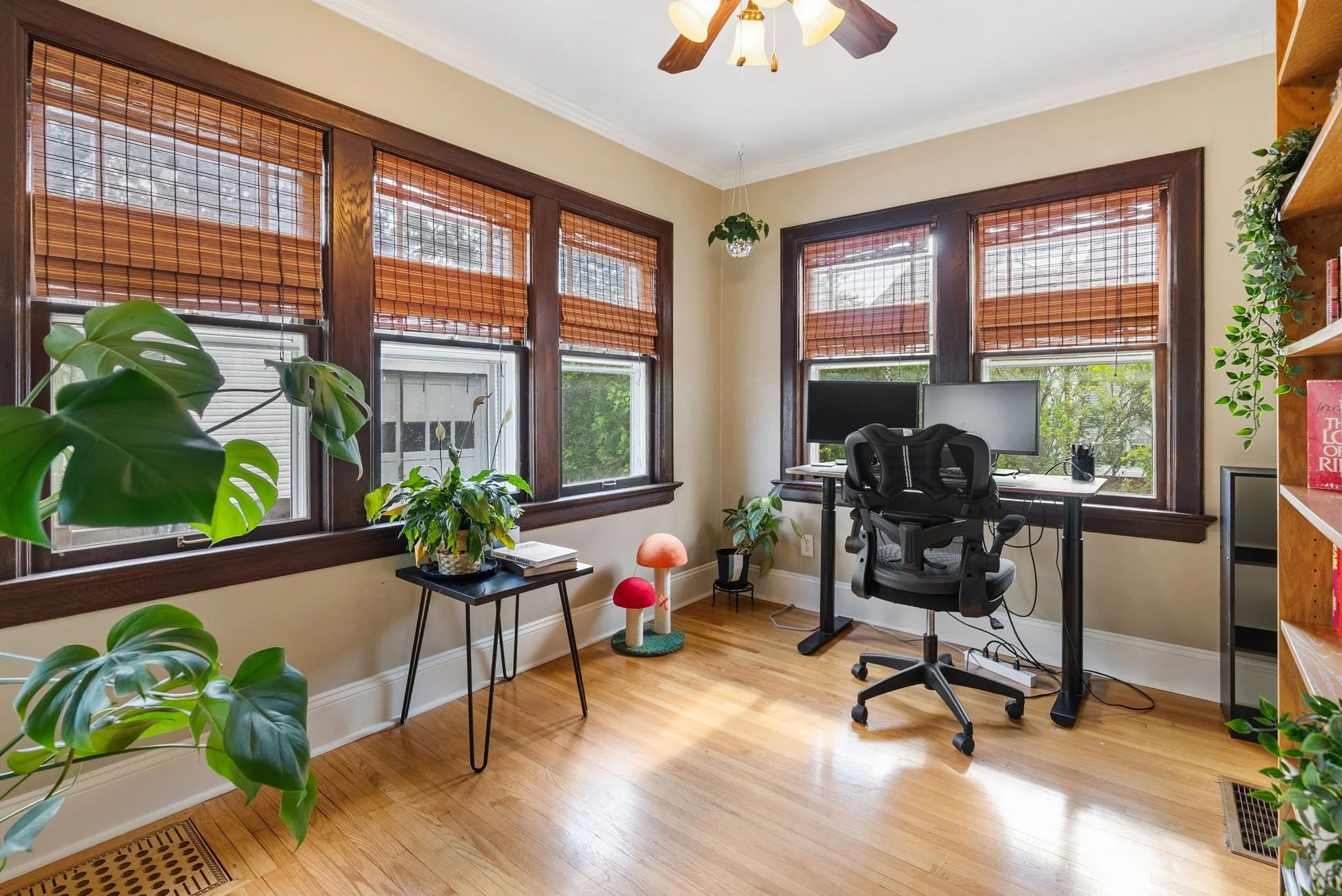 24-web-or-mls-24.jpg