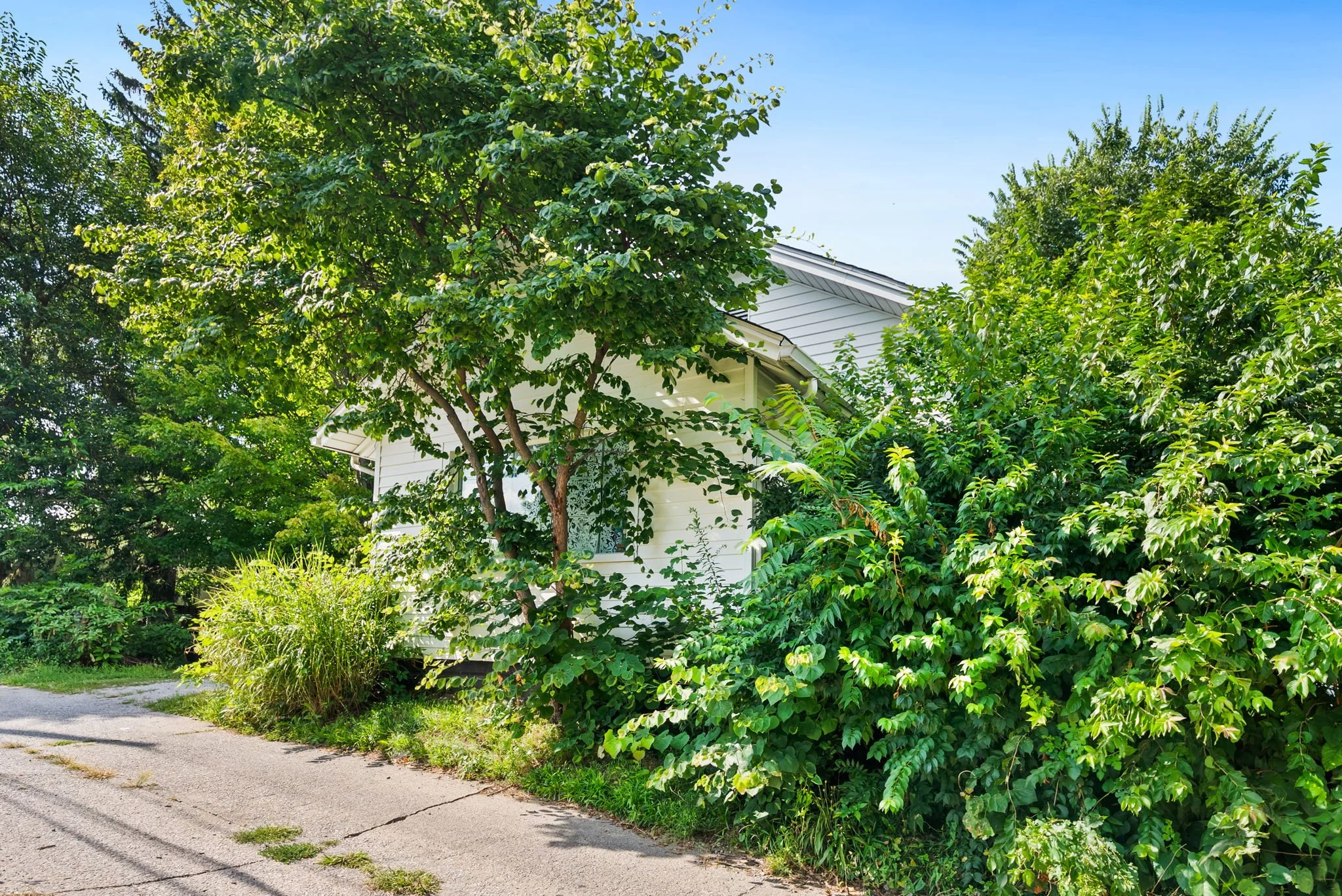 39-web-or-mls-39.jpg