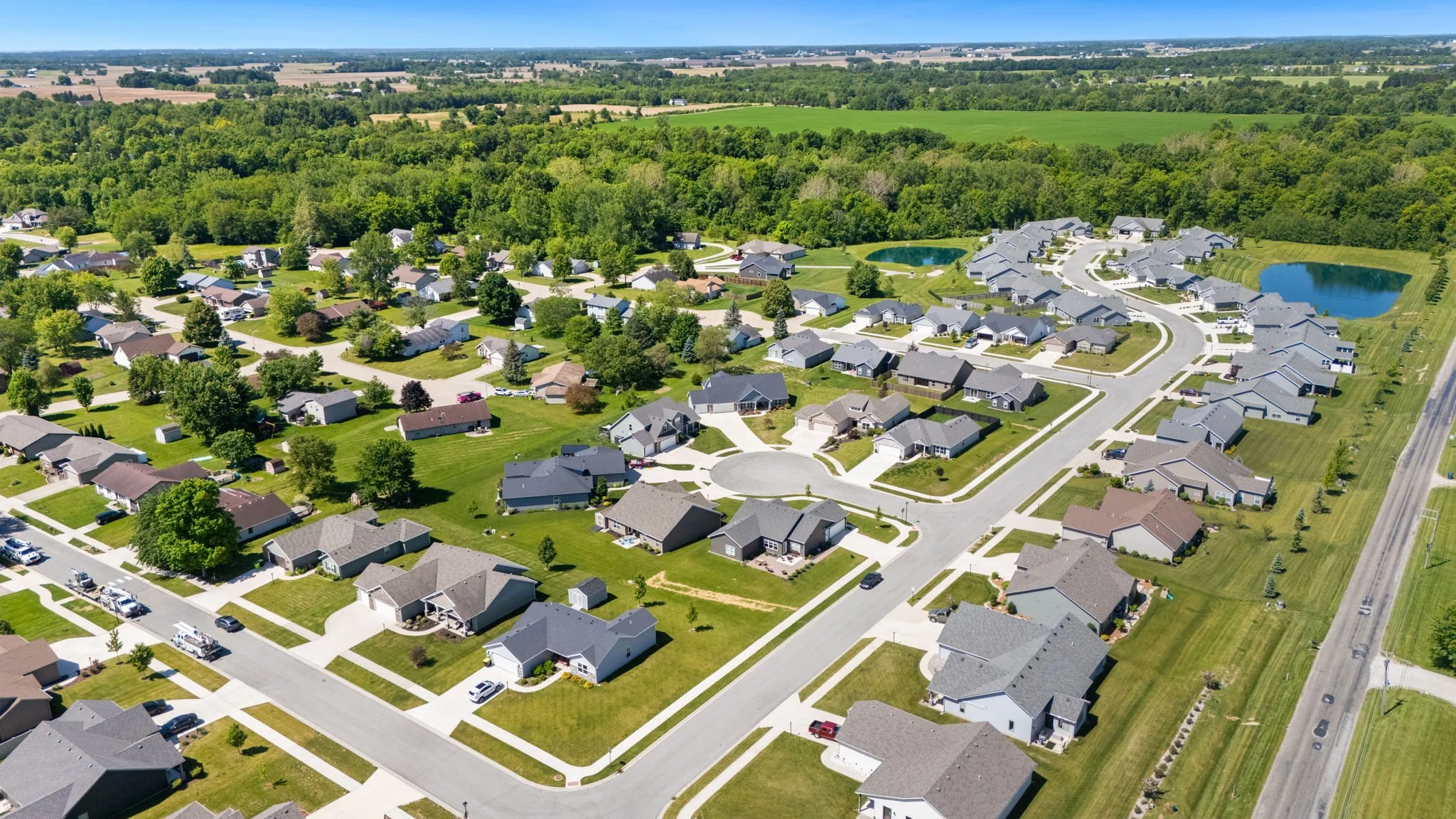 50-web-or-mls-50.jpg