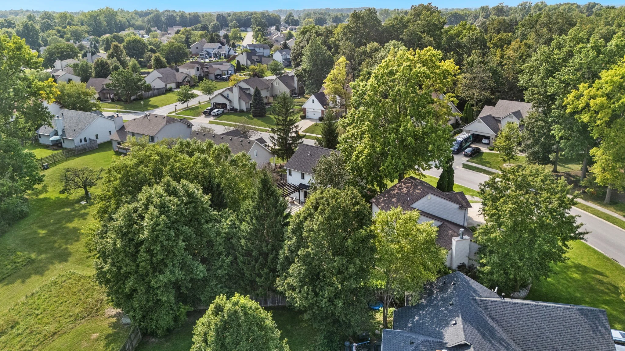 50-web-or-mls-50.jpg