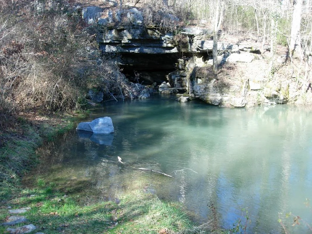 Part of the Sequatchie Cave State Natural Area is seen in this photo provided by the Tennessee Department of Environment and Conservation (TDEC). Photo by Contributed Photo/Times Free Press.