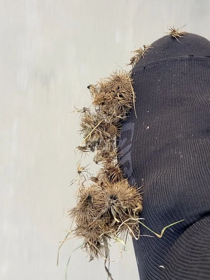 Finding the B line&hellip;

#cycling #bikes #adventure