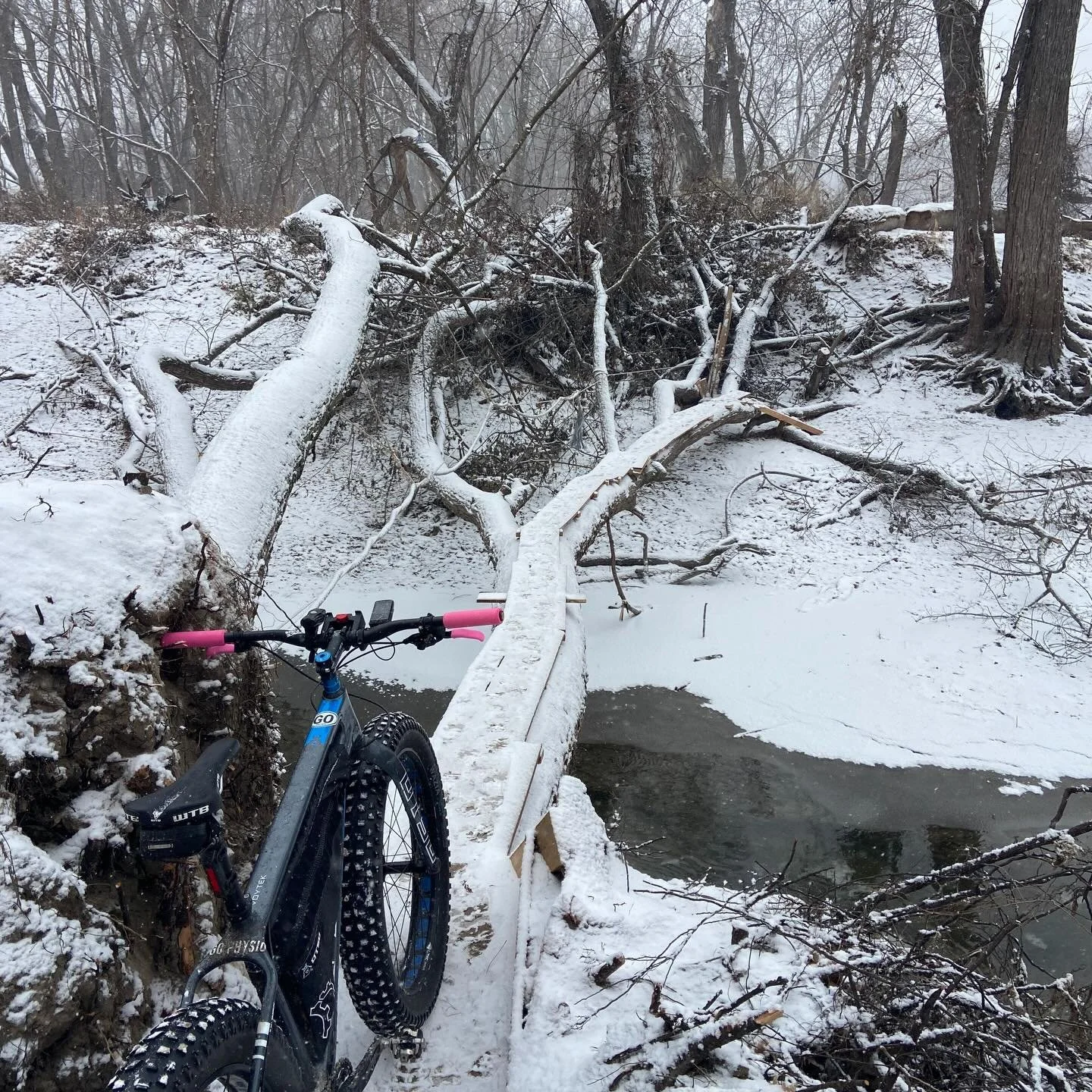 To the legend that built the new log bridge on the bottoms&hellip; THANK YOU! 🙏 

Spent 5 1/2 hours on the #fatbike this morning and it snowed the entire time. Charmed, indeed 😎

#arrowhead135training #minnesota