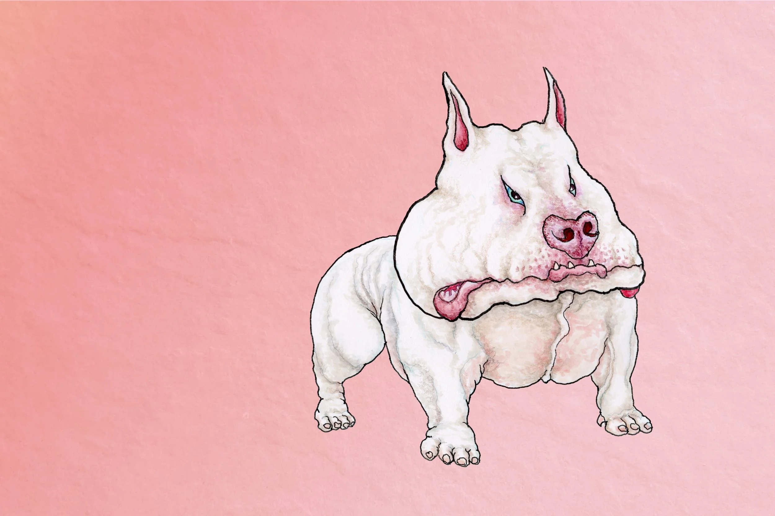 Rugalo the Pitty.jpg