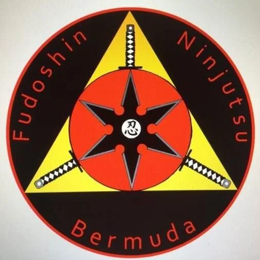 fudoshin ninjutsu.jpg