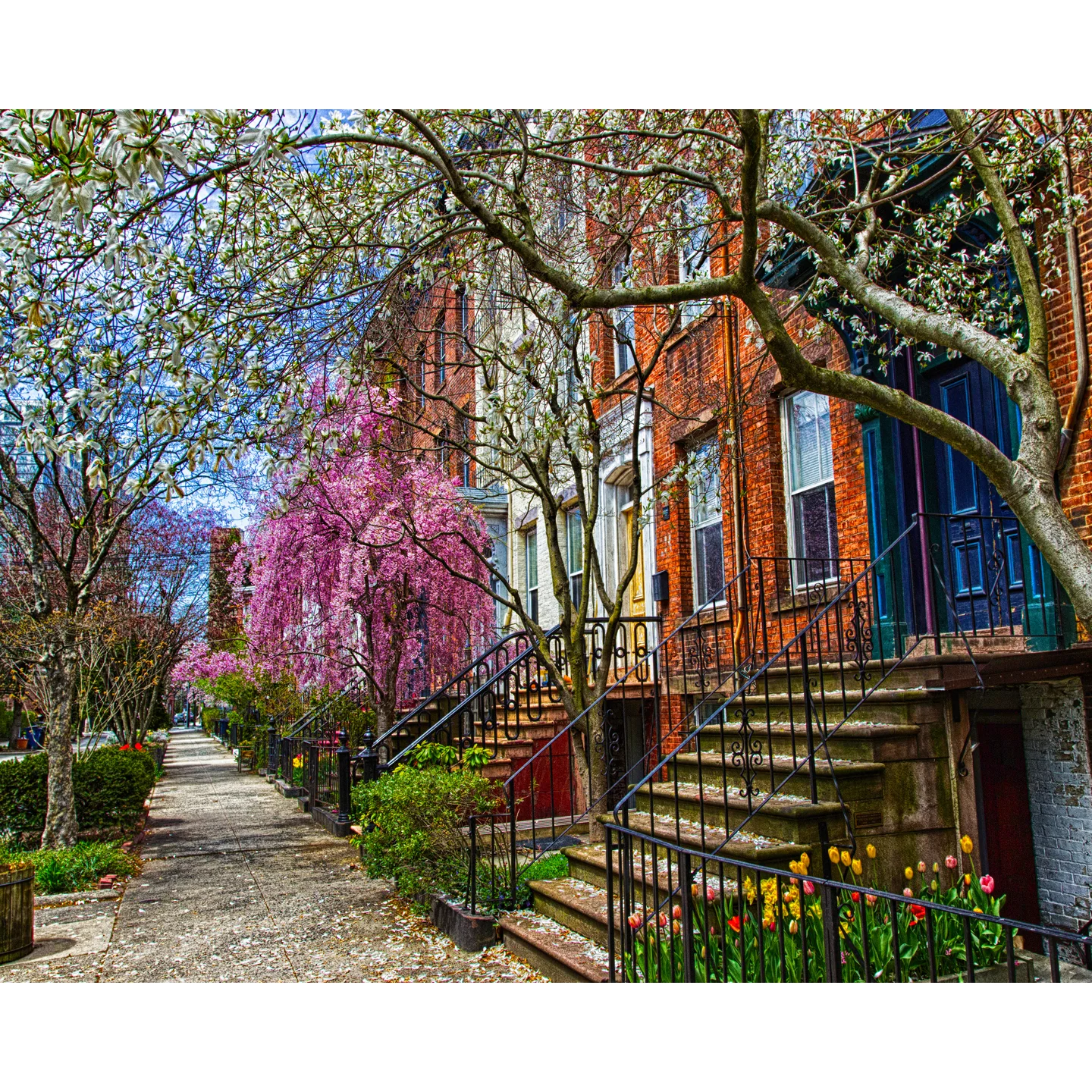 BrownstonesInBloom_Webstore.jpg