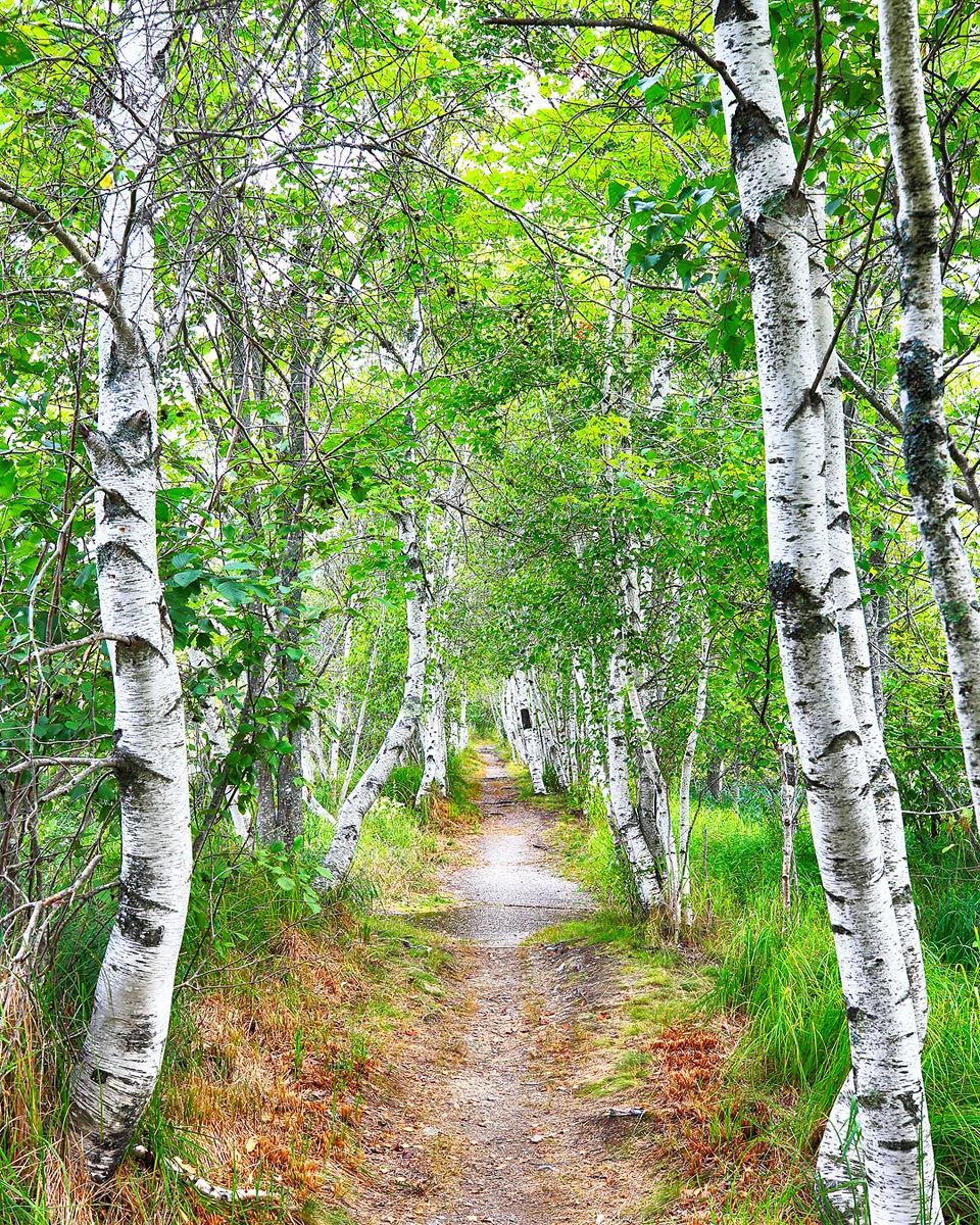 Sieur de Monts in Acadia National Park in Bar Harbor, ME