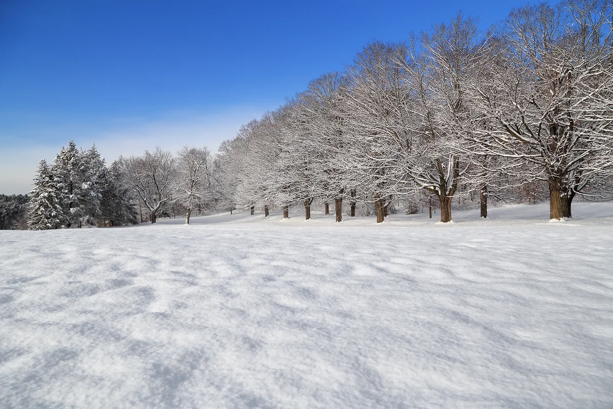Winter in West Boylston, MA
