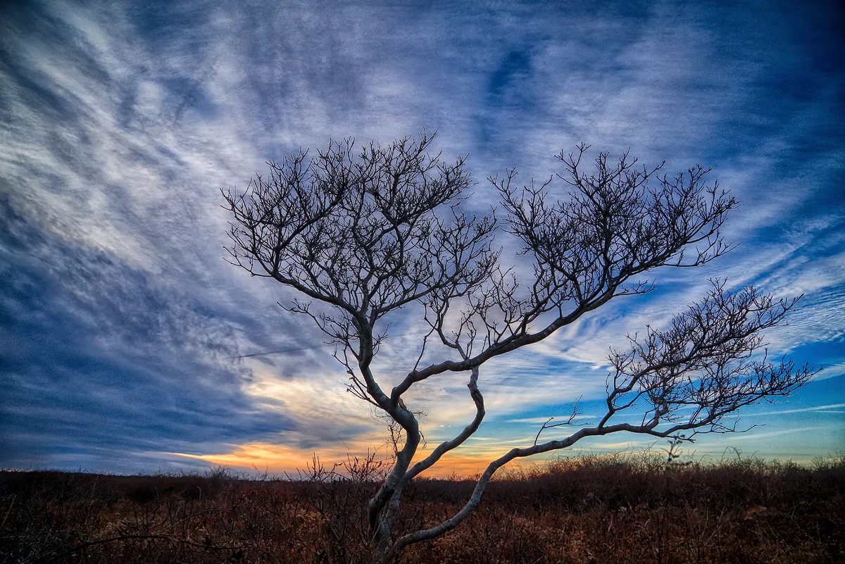 IMG_8339_HDR_Sized.jpg