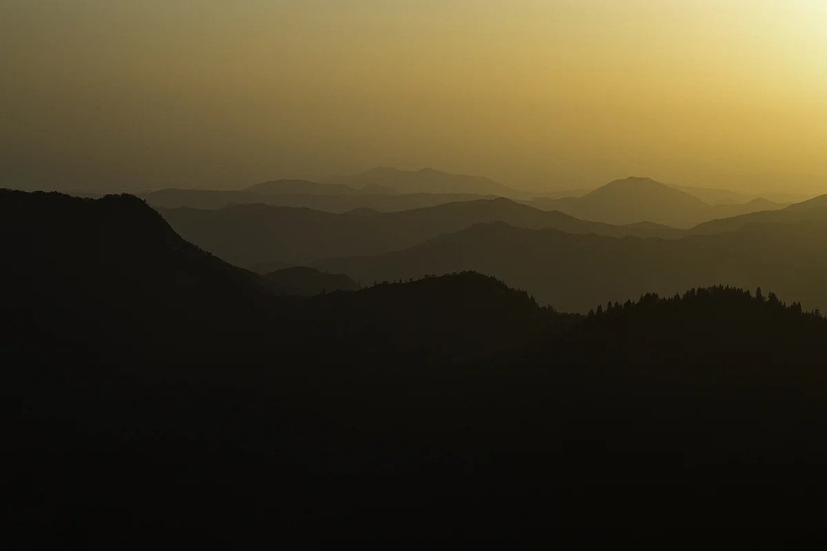 SequoiaSunset1.jpg