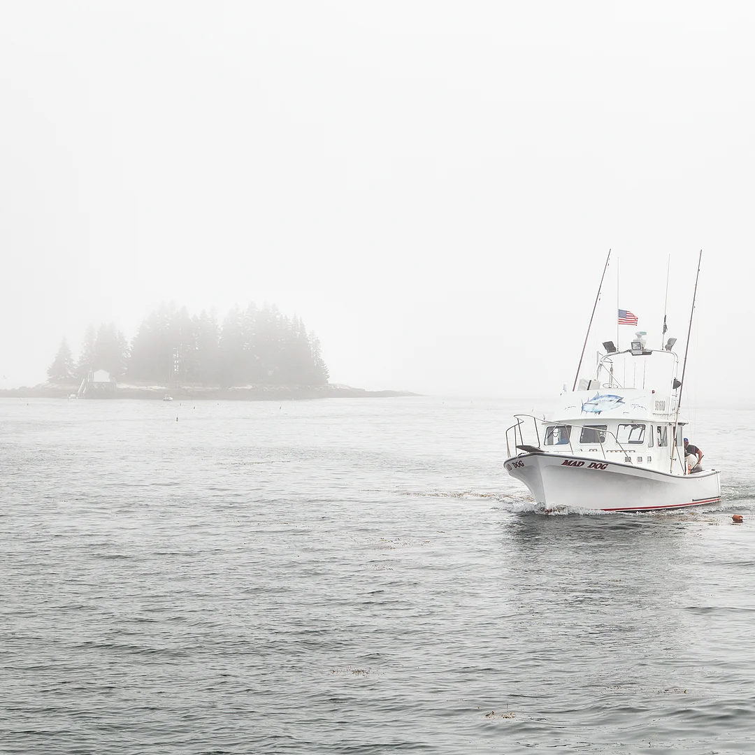 FoggyBarHarbor.jpg