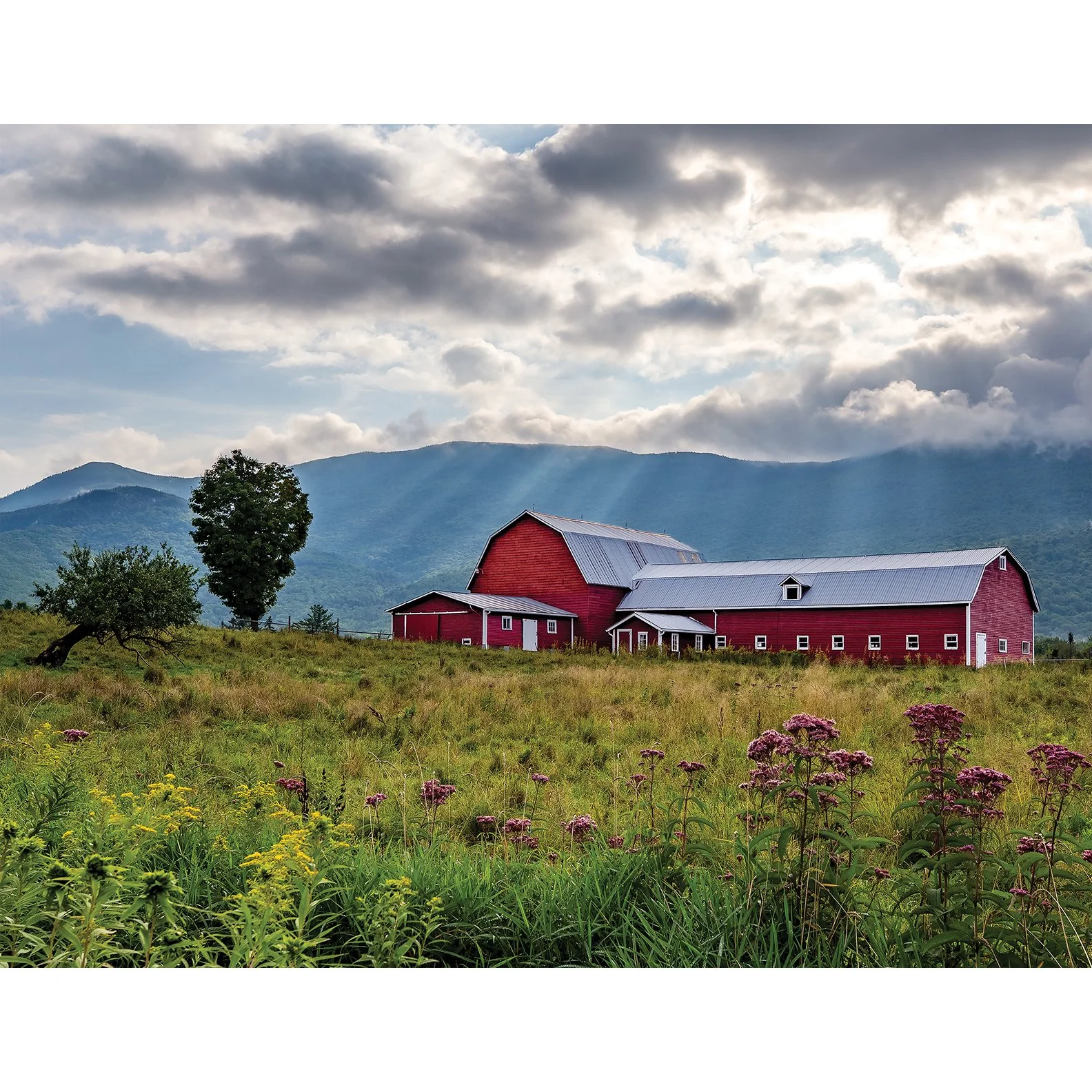 08_August_VT.jpg