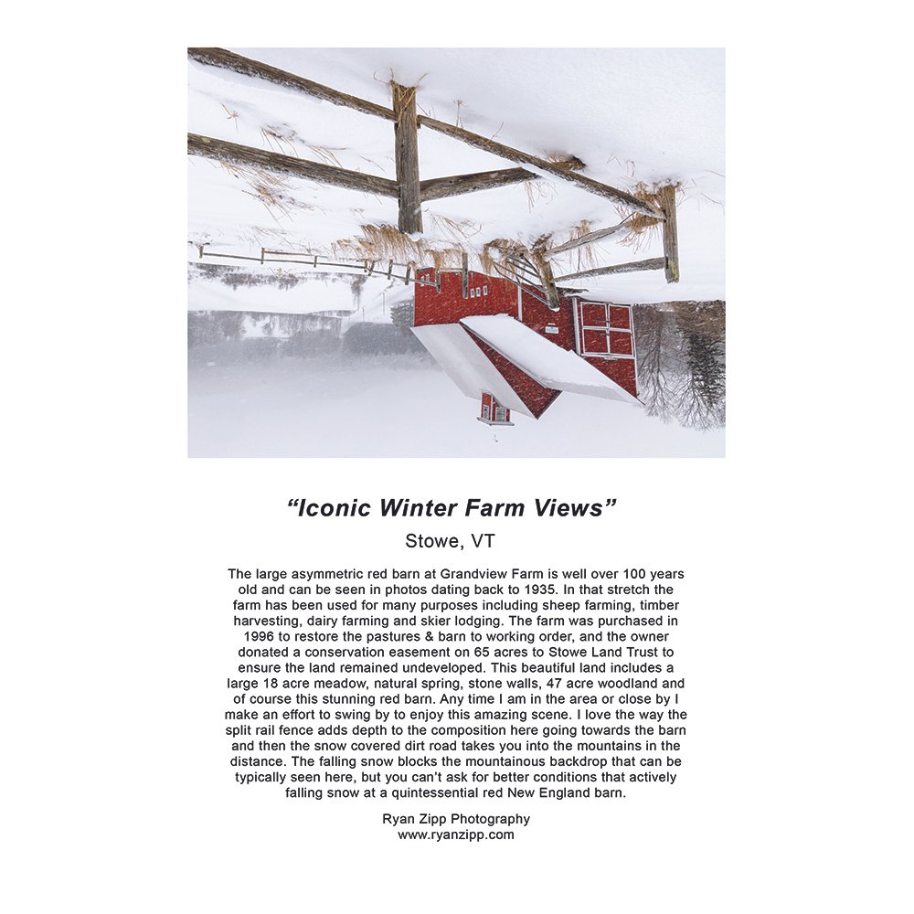 RyanZipp_HolidayCard_11.jpg